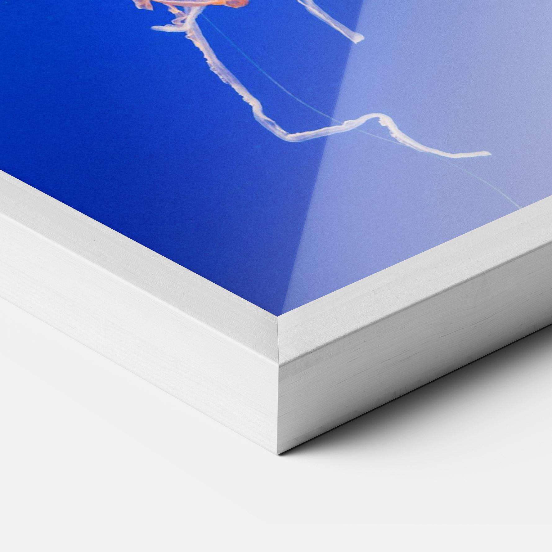 Plakat w Ramie Pretty White Jellyfish mockup 3