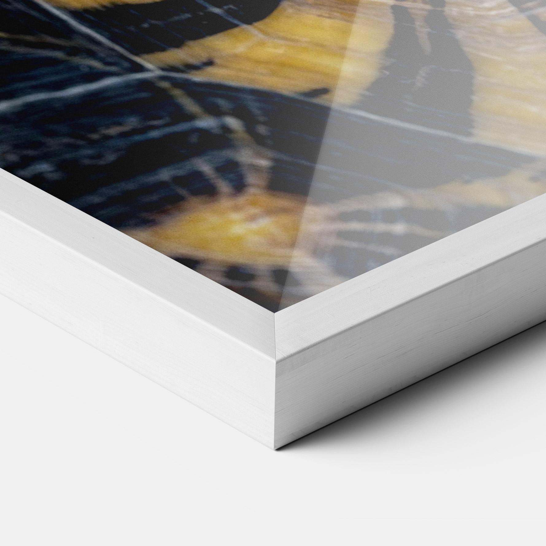 Plakat w Ramie Turtle Shell mockup 3