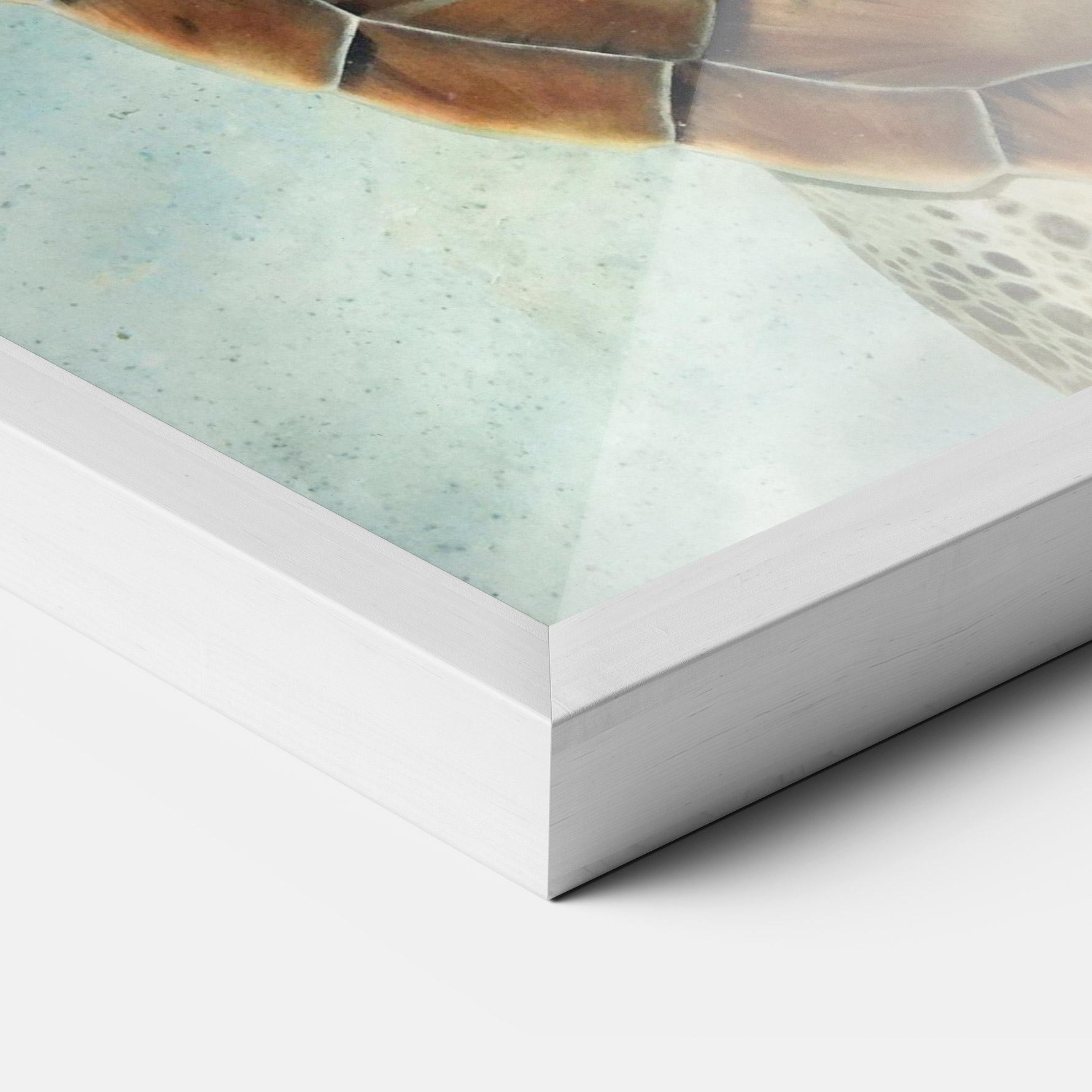 Plakat w Ramie Water Tortoise mockup 3