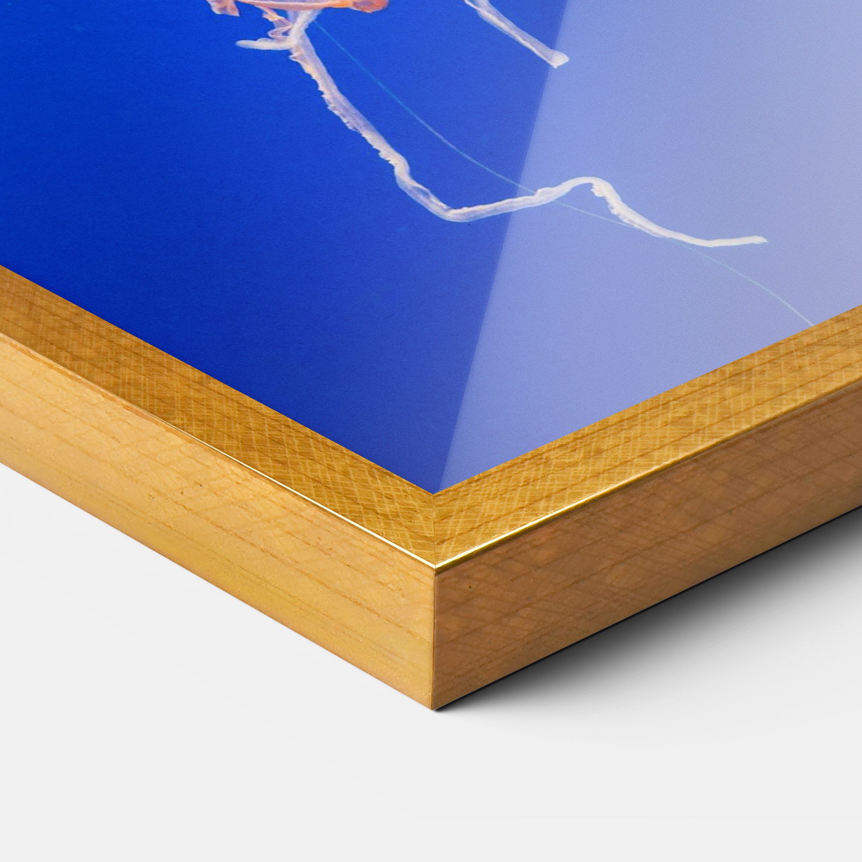 Pretty White Jellyfish mockup 3