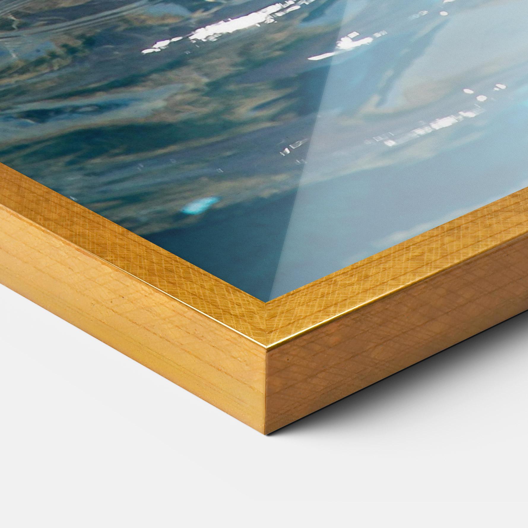 Plakat w Ramie Trained Dolphin mockup 3