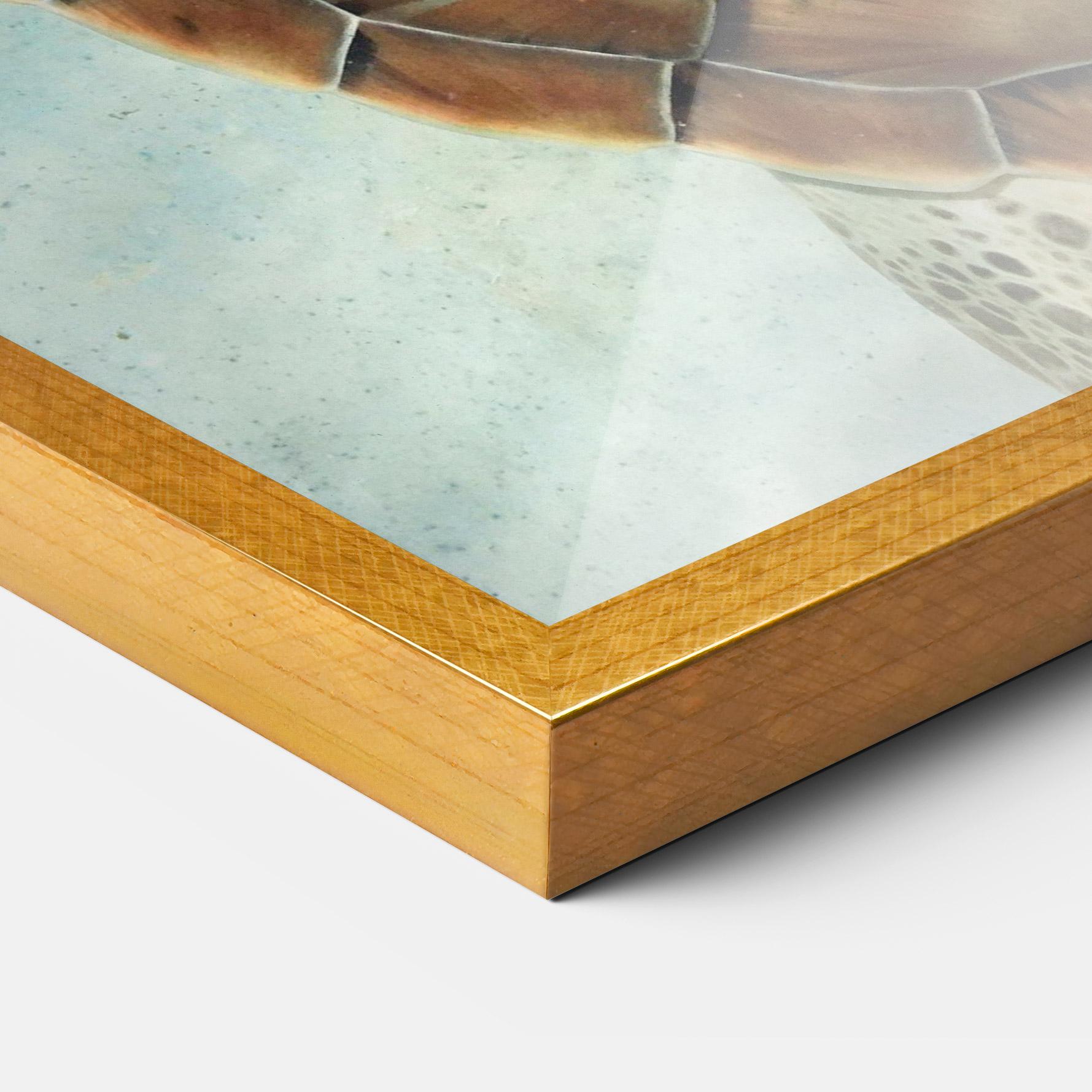 Plakat w Ramie Water Tortoise mockup 3