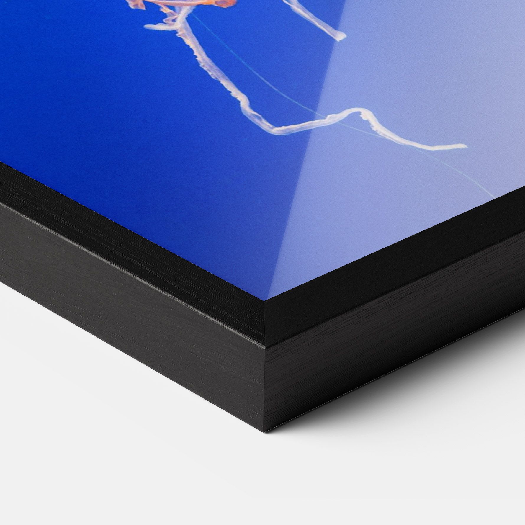 Pretty White Jellyfish mockup 3