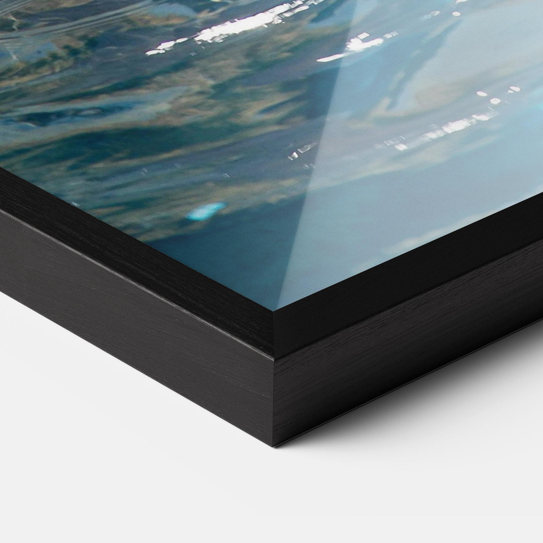 Plakat w Ramie Trained Dolphin mockup 3