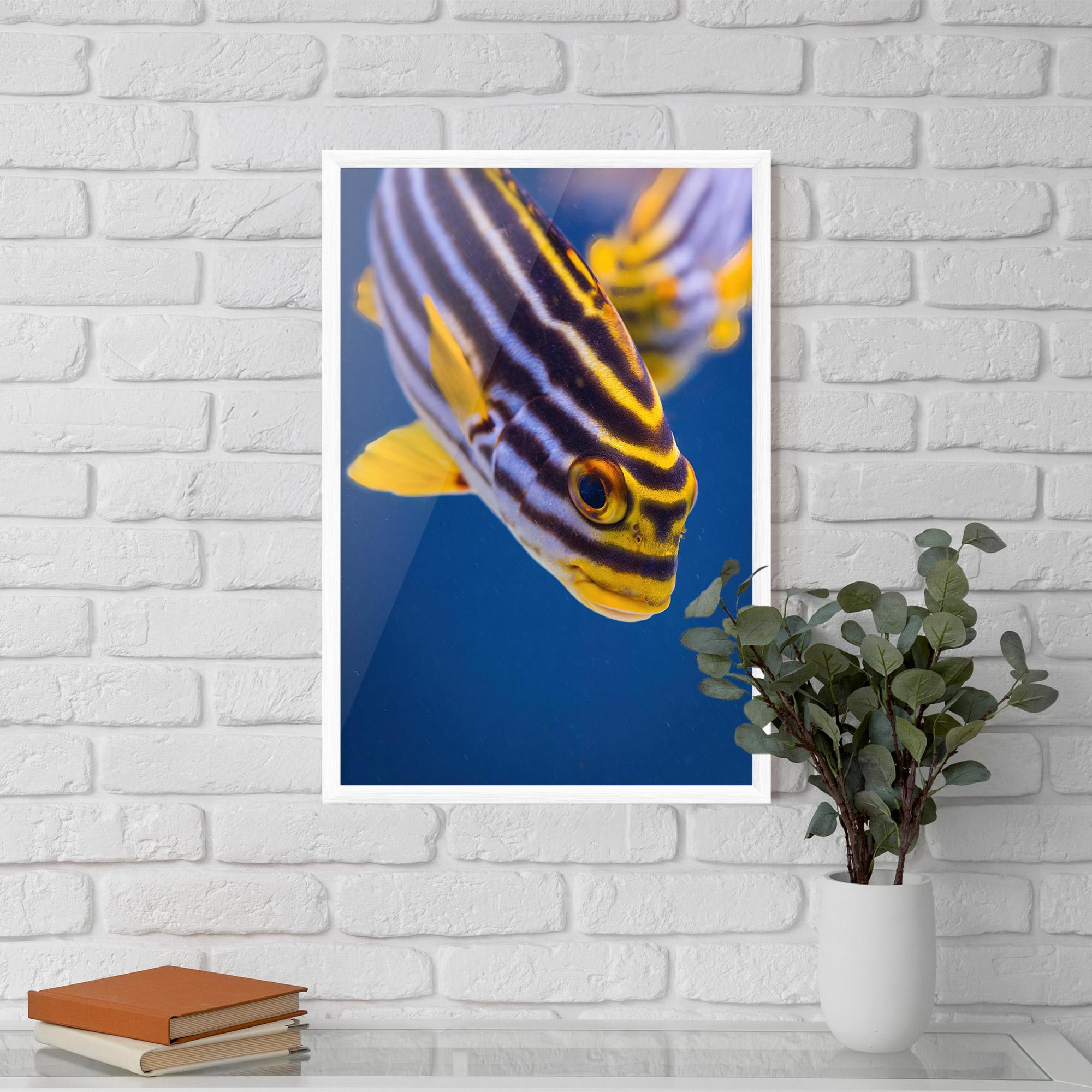 Plakat w Ramie Purple Yellow Fish mockup 5