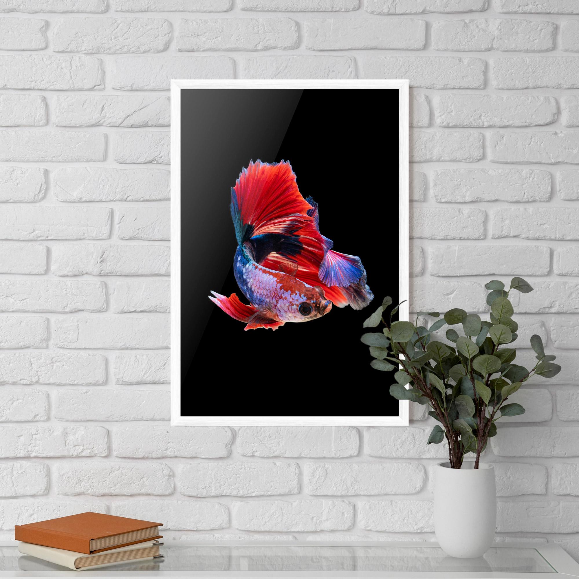 Plakat w Ramie Red Black Betta mockup 5