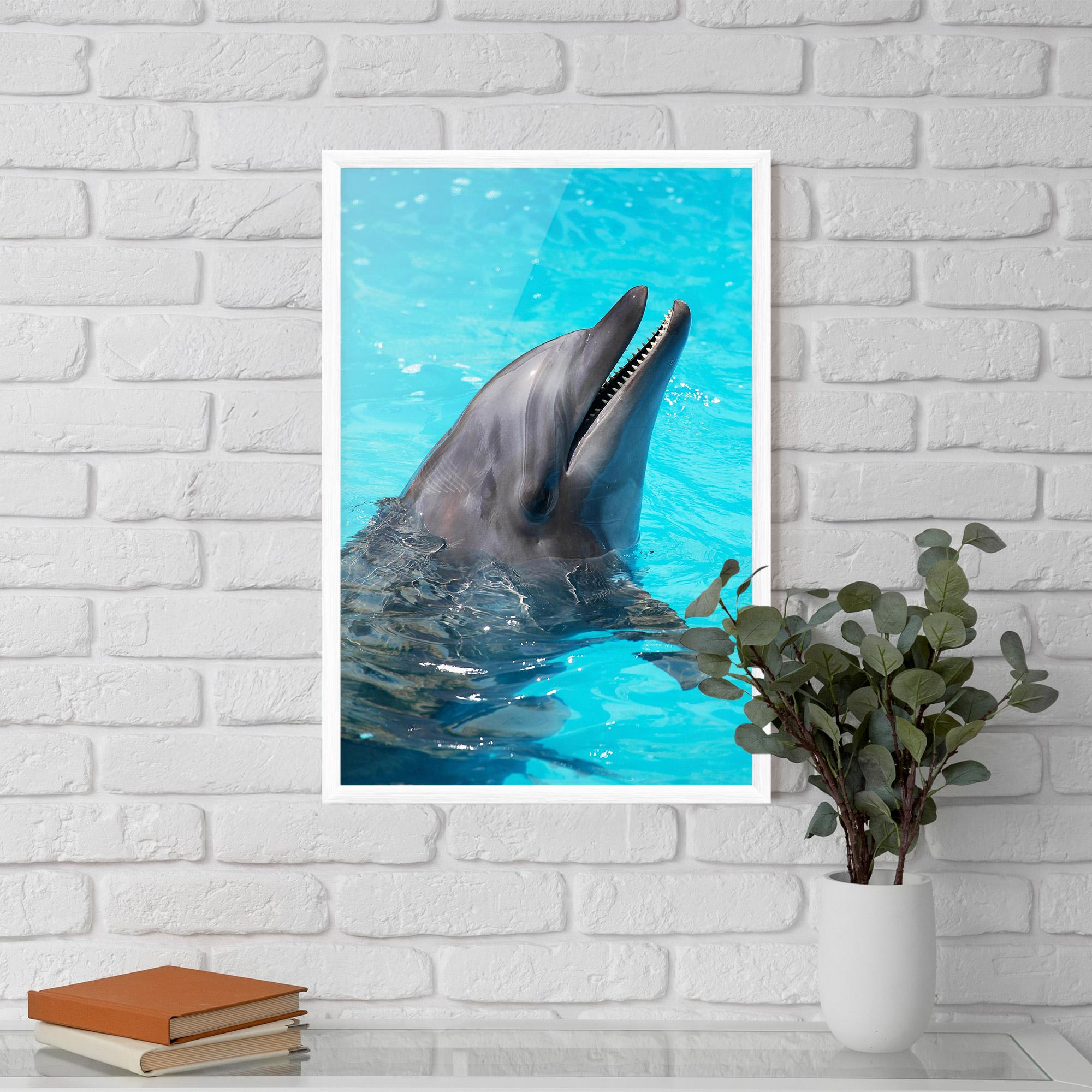 Plakat w Ramie Trained Dolphin mockup 5