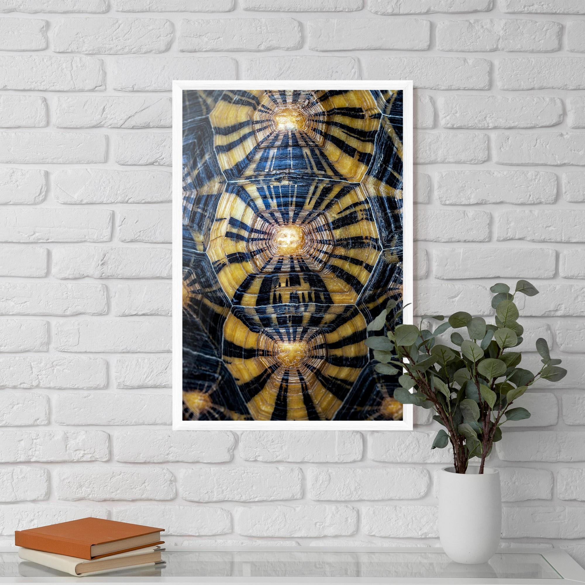 Plakat w Ramie Turtle Shell mockup 5