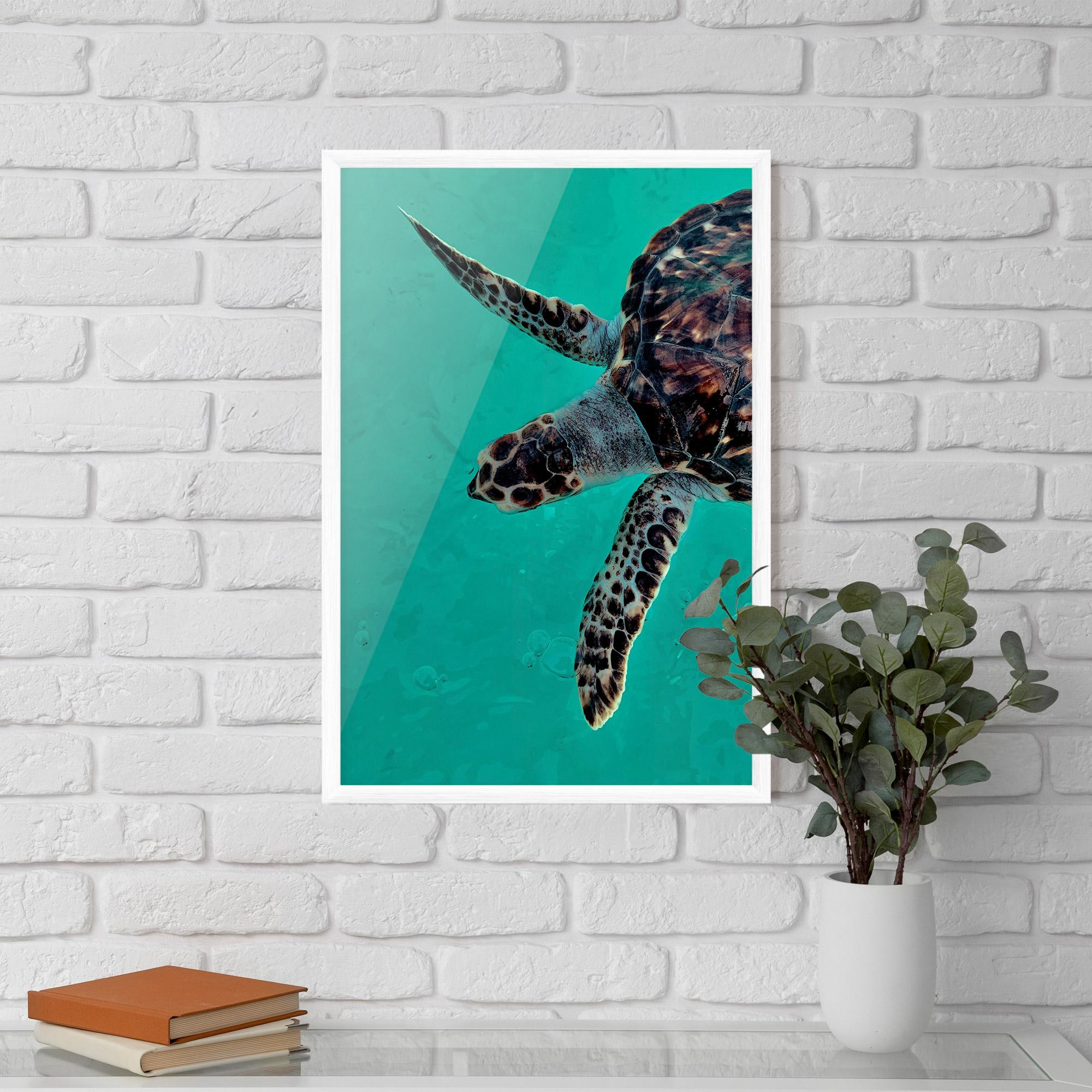 Plakat w Ramie Turtle Sweeming mockup 5