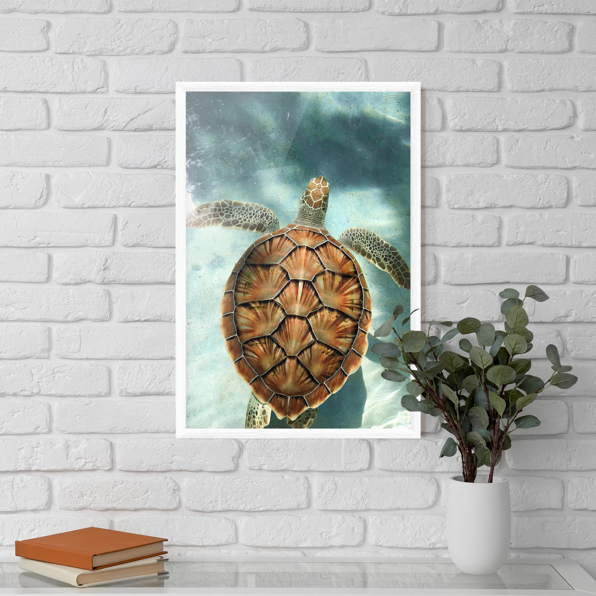Plakat w Ramie Water Tortoise mockup 5