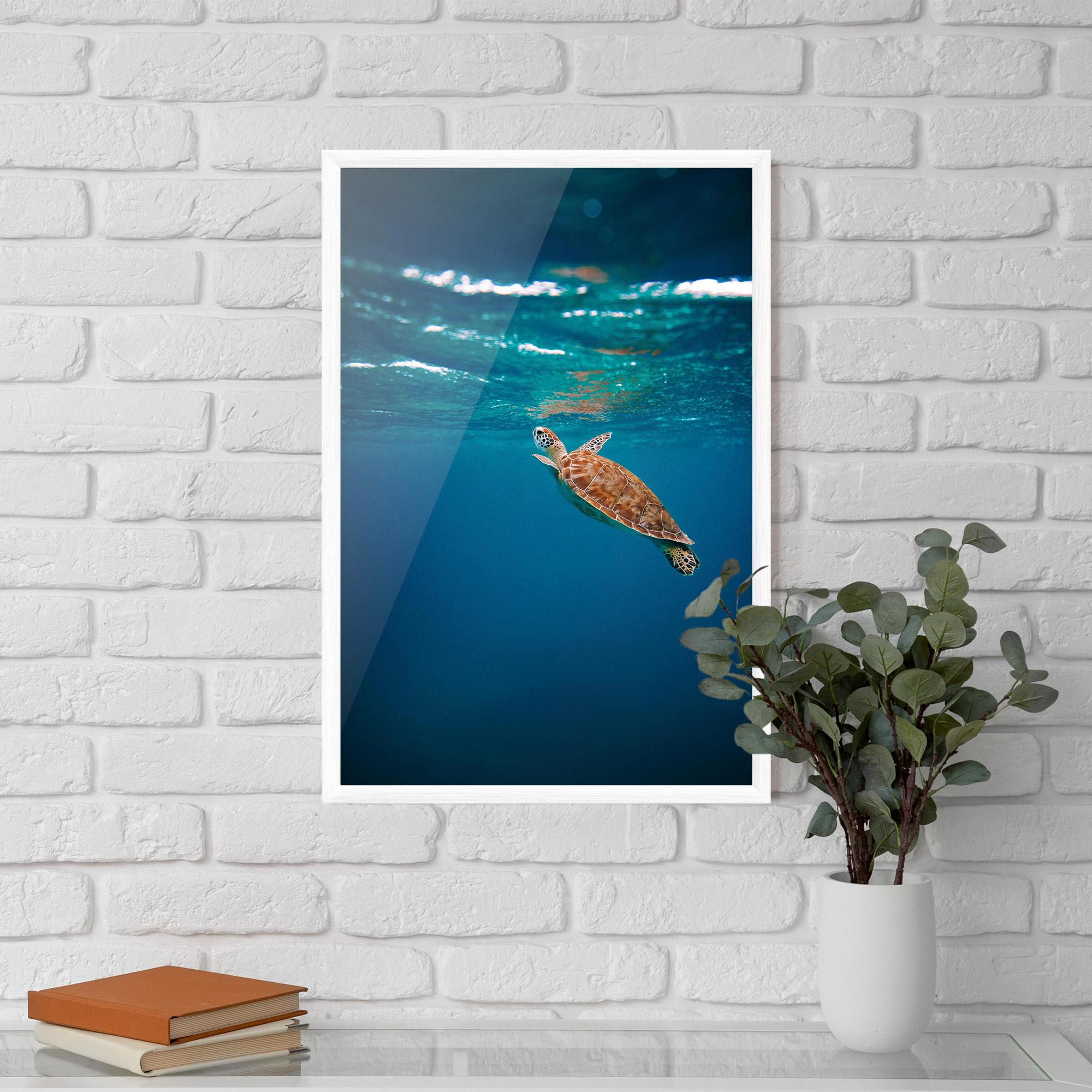 Plakat w Ramie Water Turtle mockup 5