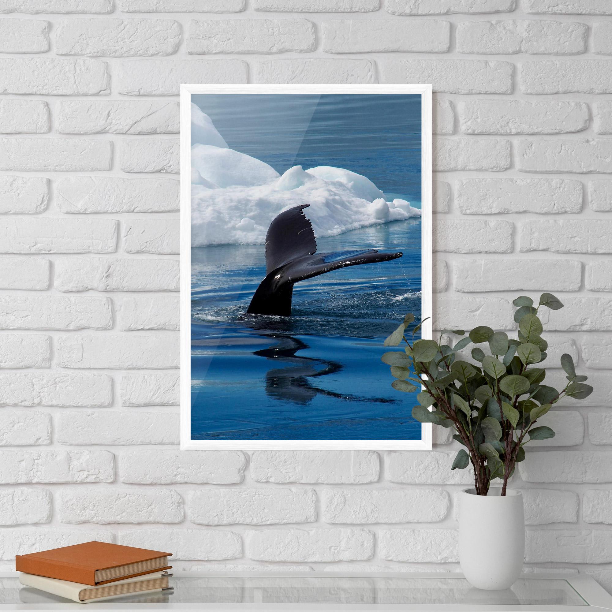 Plakat w Ramie Whale Tail mockup 5