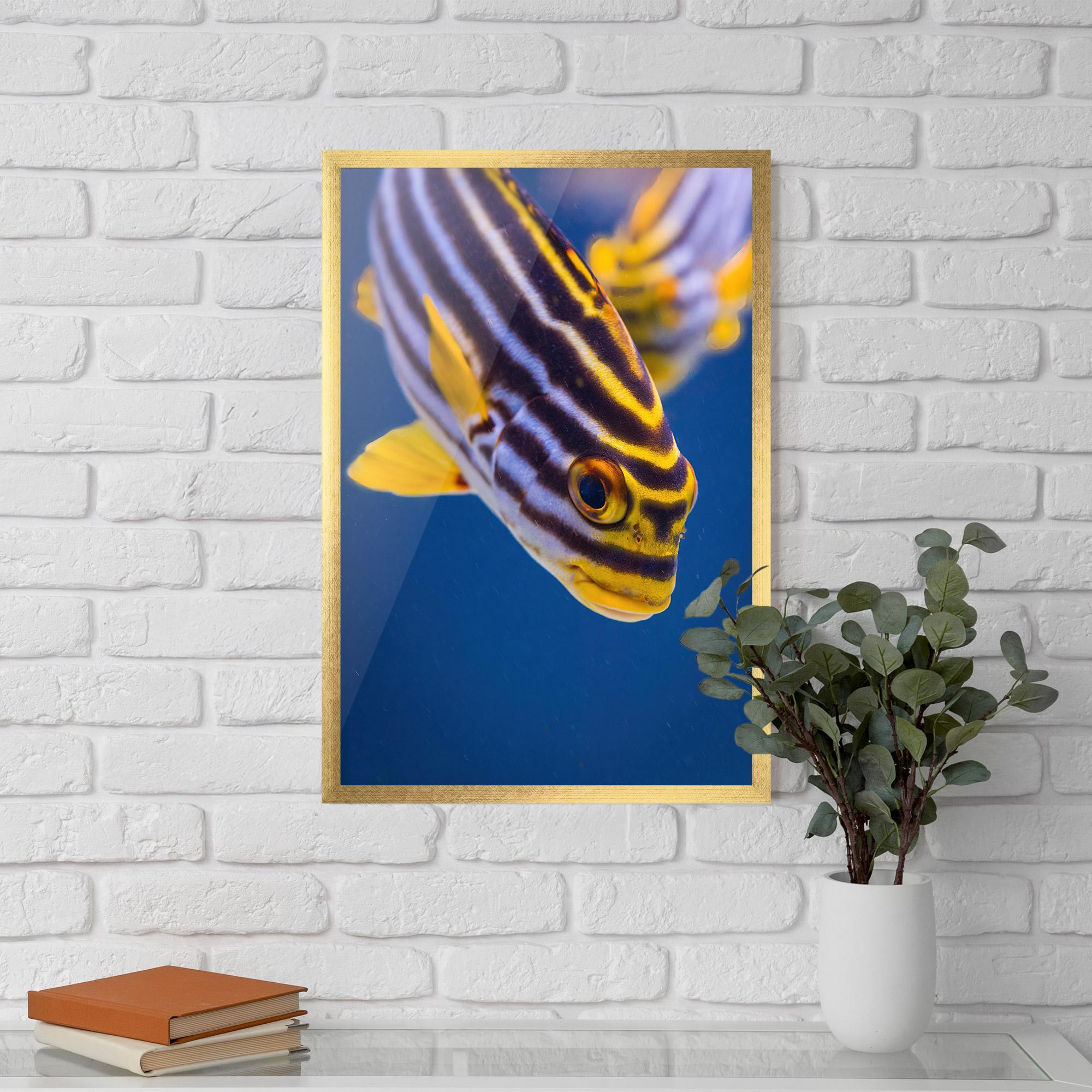 Plakat w Ramie Purple Yellow Fish mockup 5