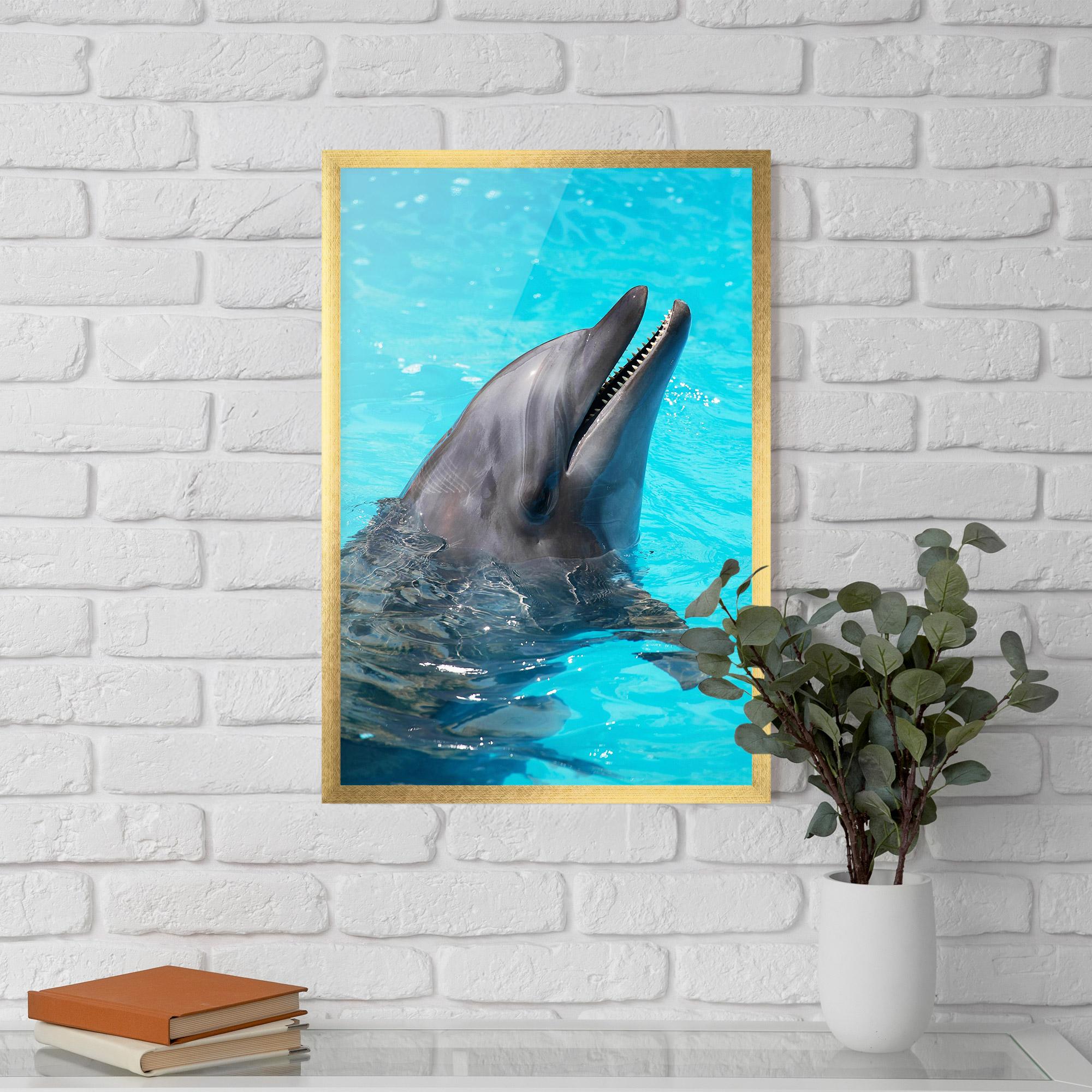 Plakat w Ramie Trained Dolphin mockup 5