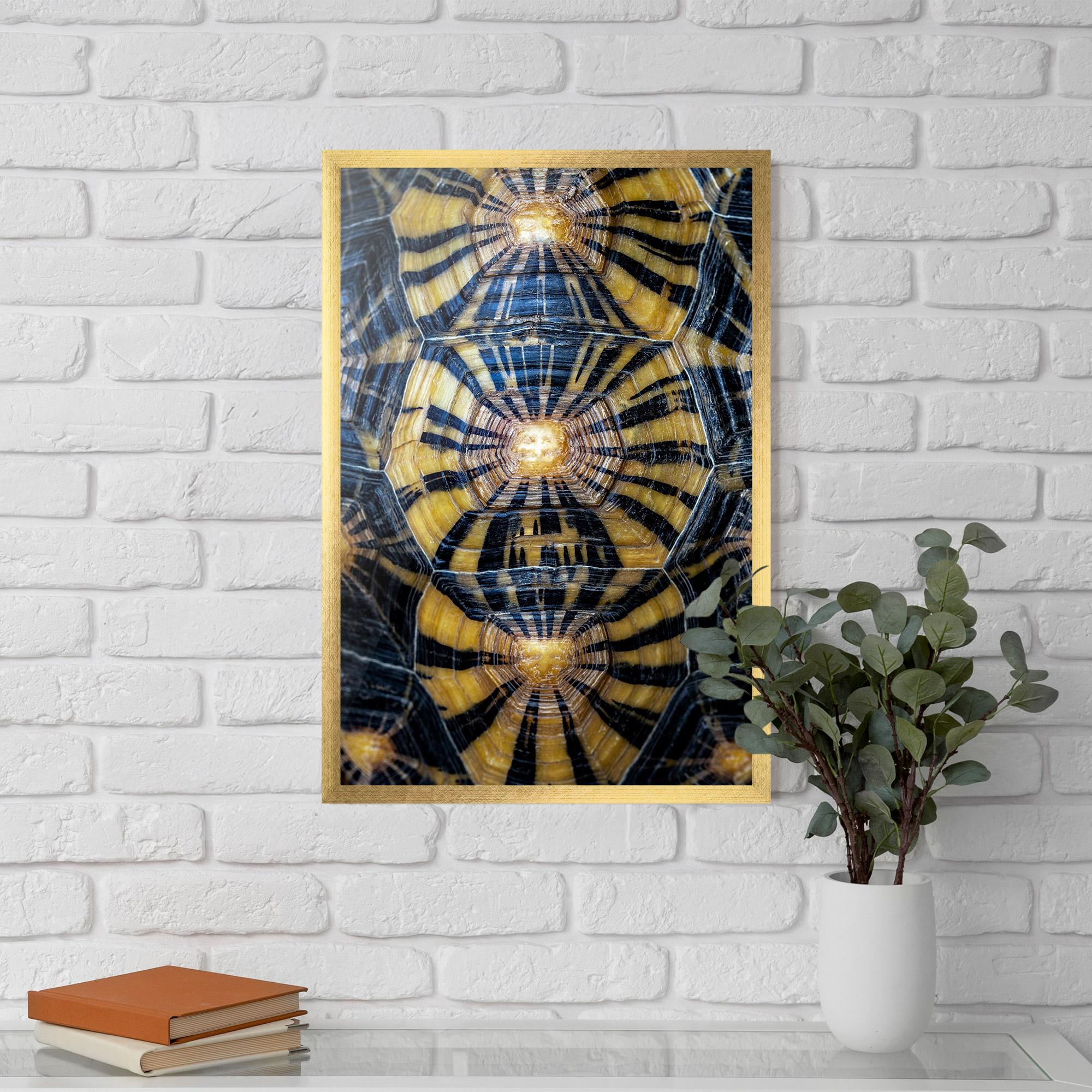 Plakat w Ramie Turtle Shell mockup 5