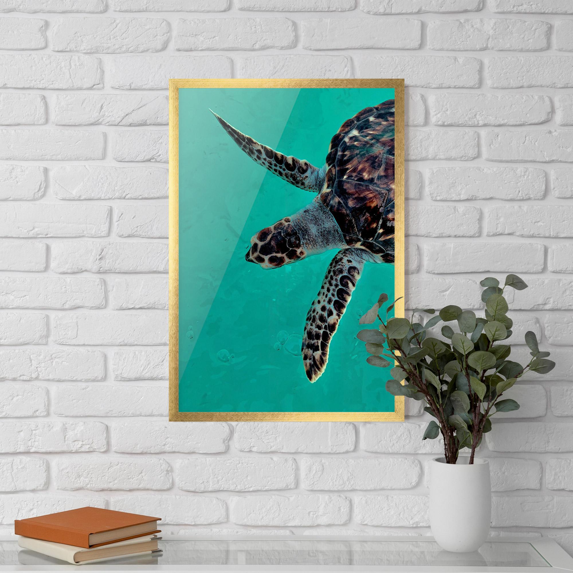 Plakat w Ramie Turtle Sweeming mockup 5