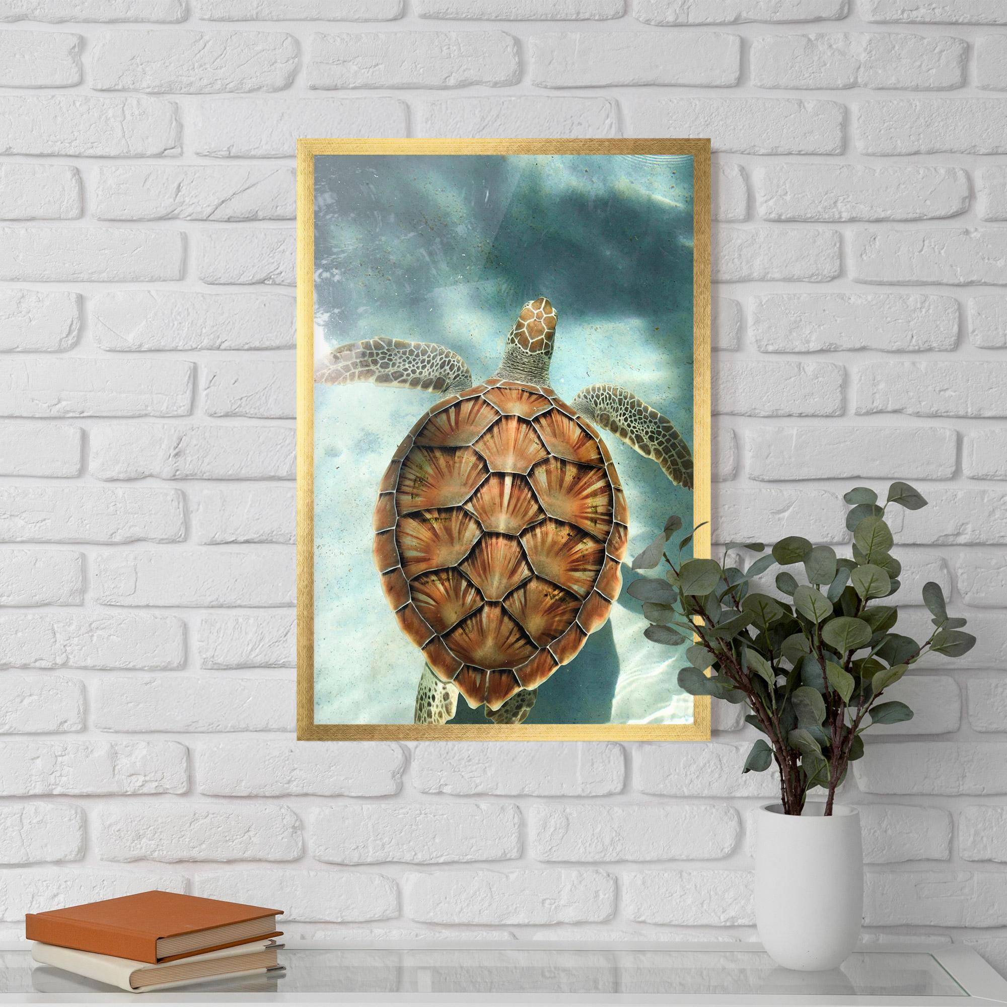 Plakat w Ramie Water Tortoise mockup 5