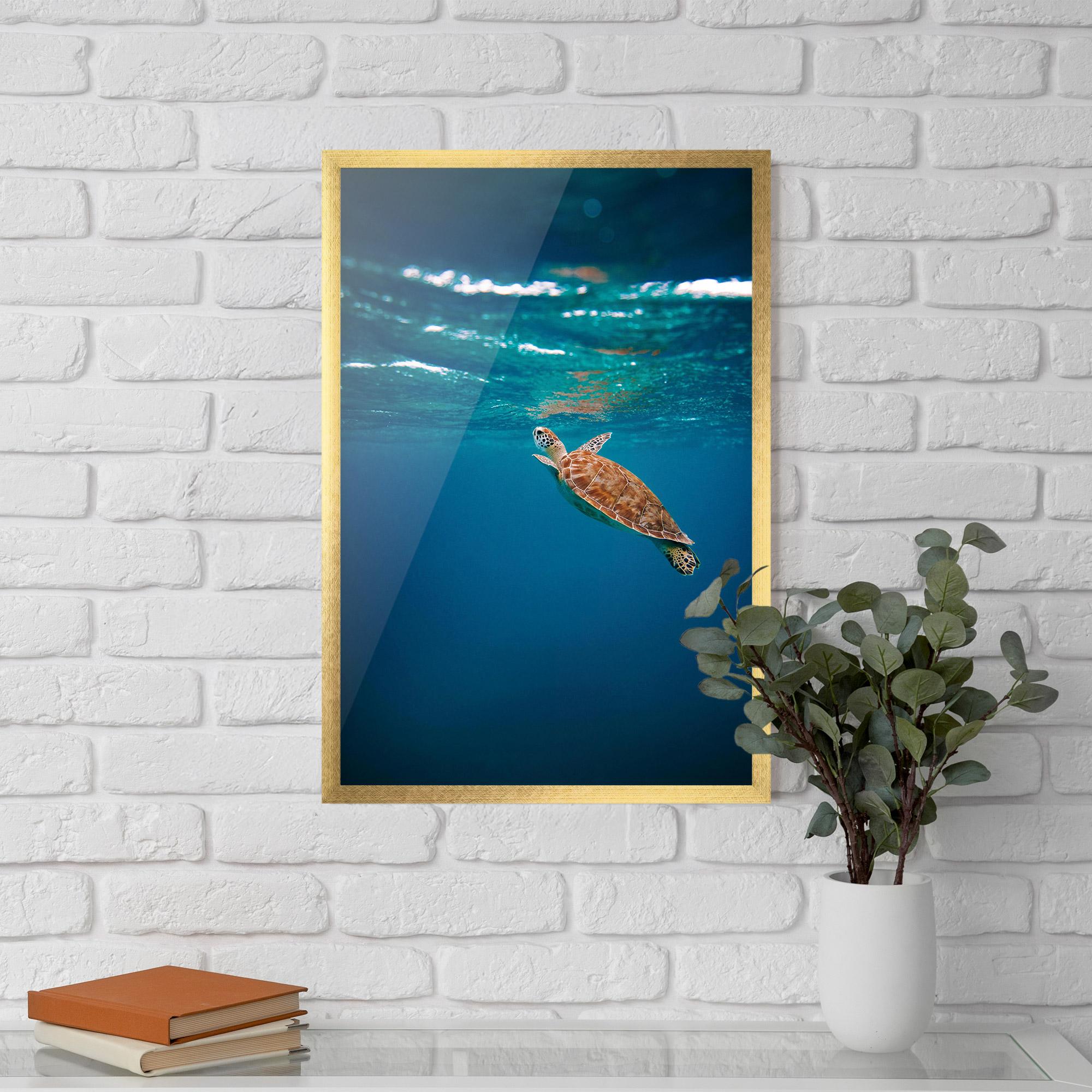 Plakat w Ramie Water Turtle mockup 5