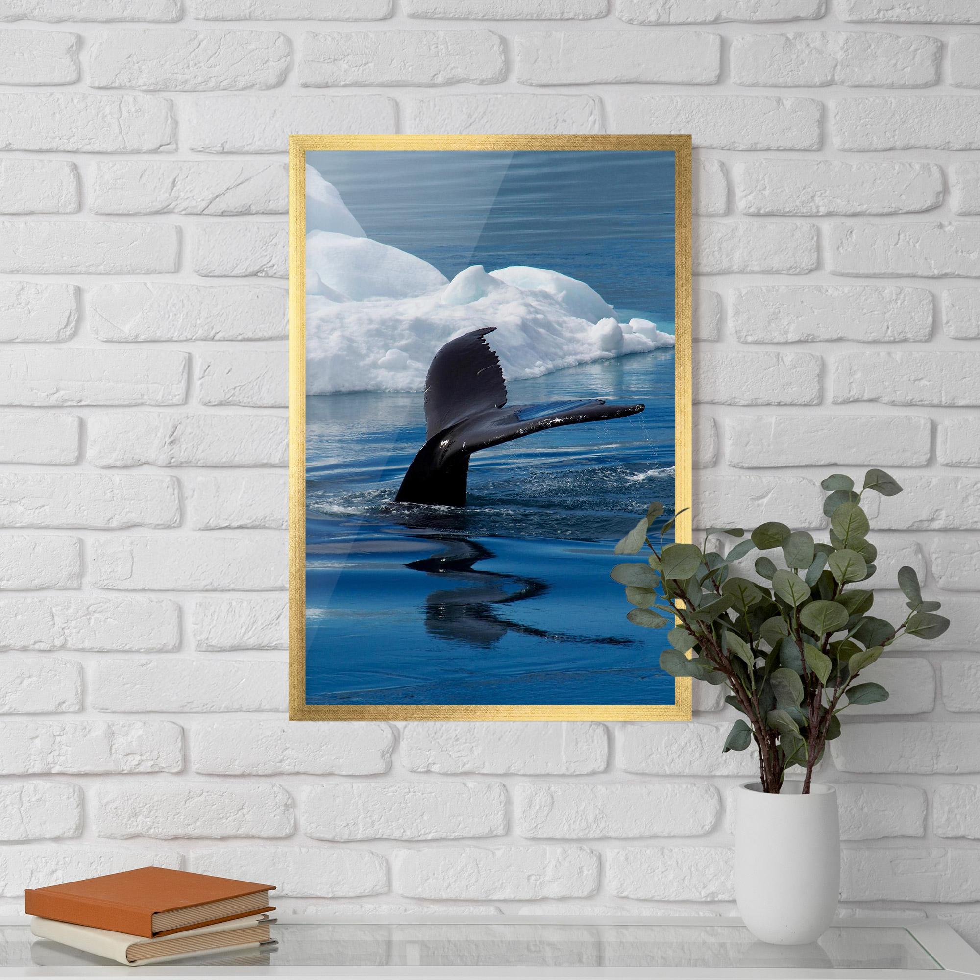 Plakat w Ramie Whale Tail mockup 5