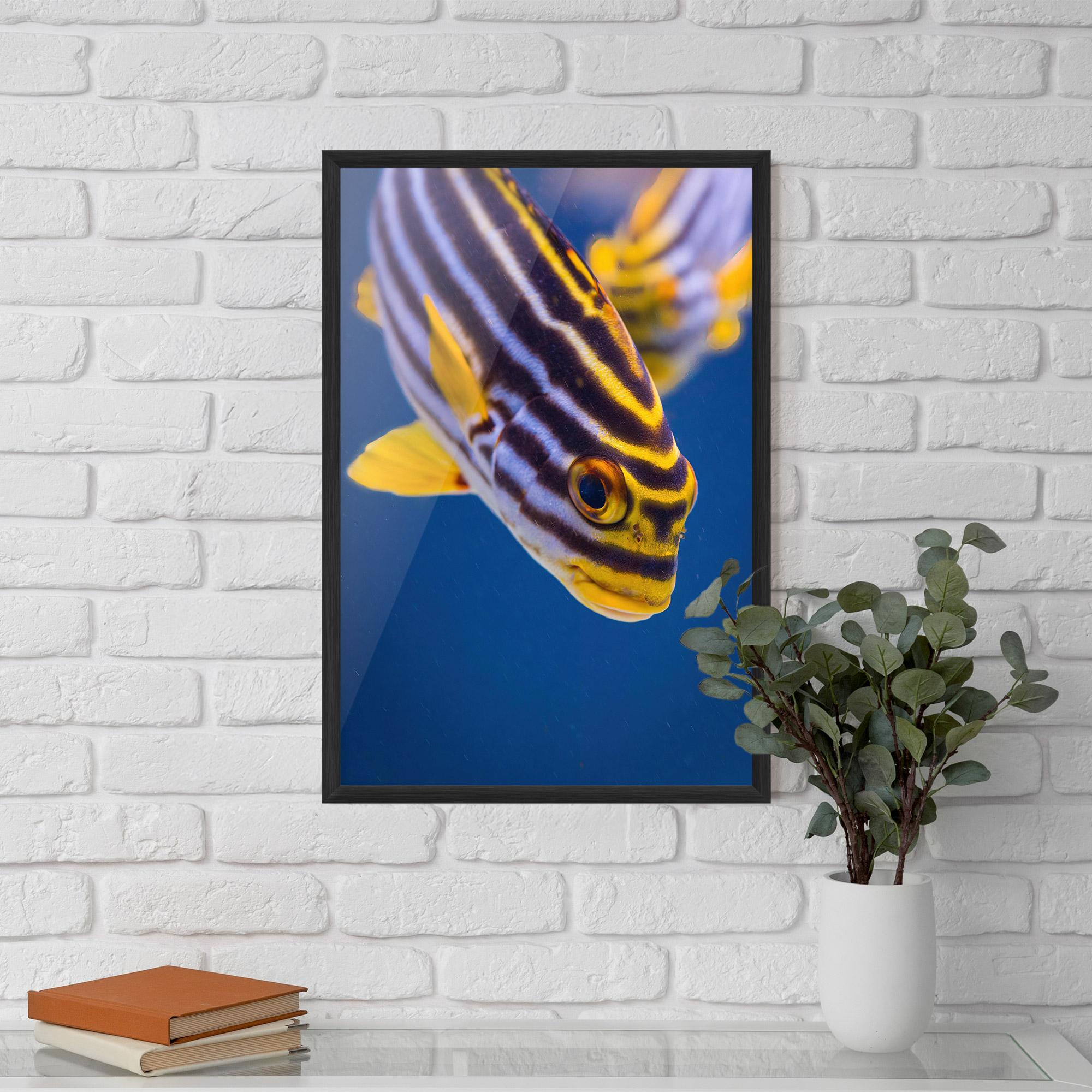 Plakat w Ramie Purple Yellow Fish mockup 5