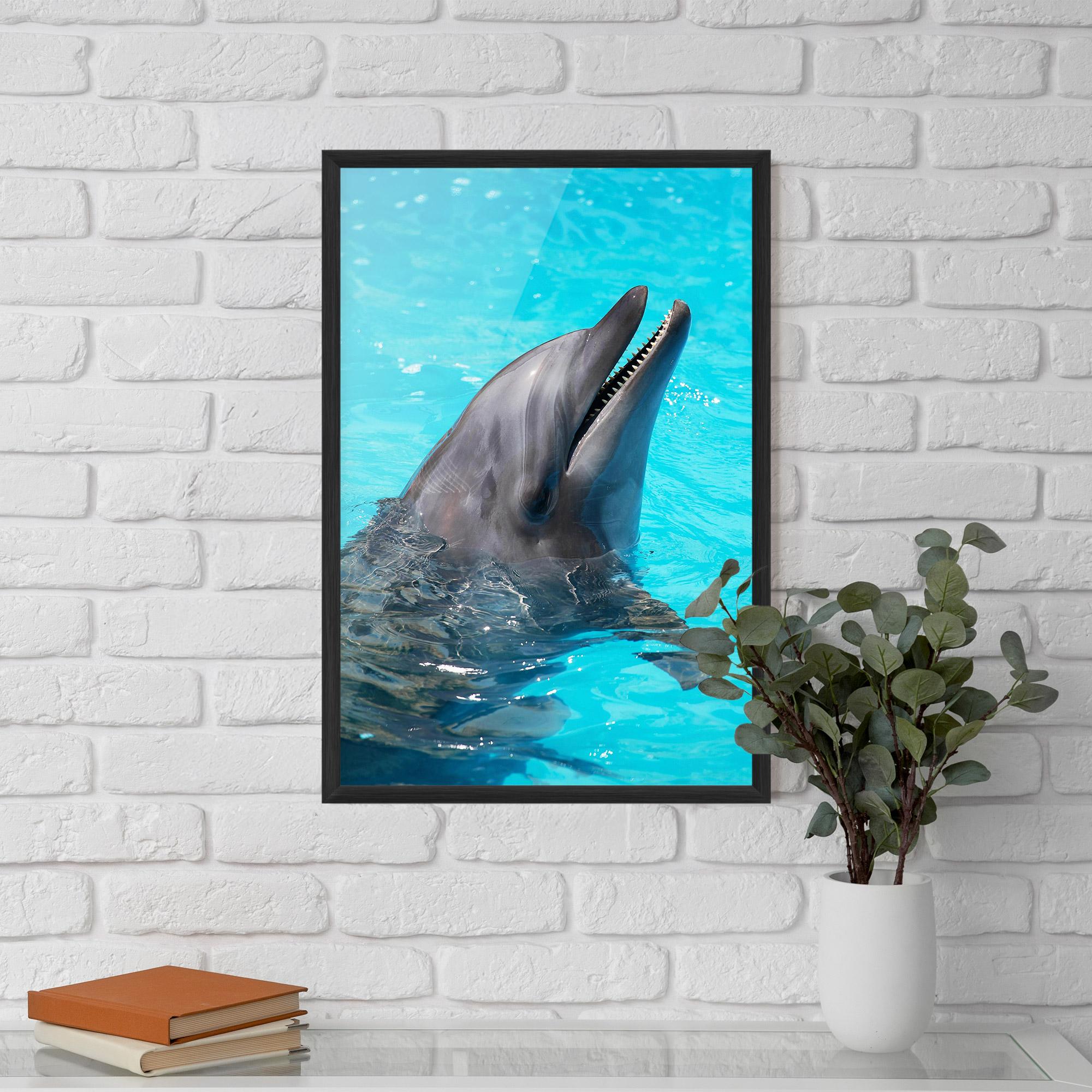 Plakat w Ramie Trained Dolphin mockup 5