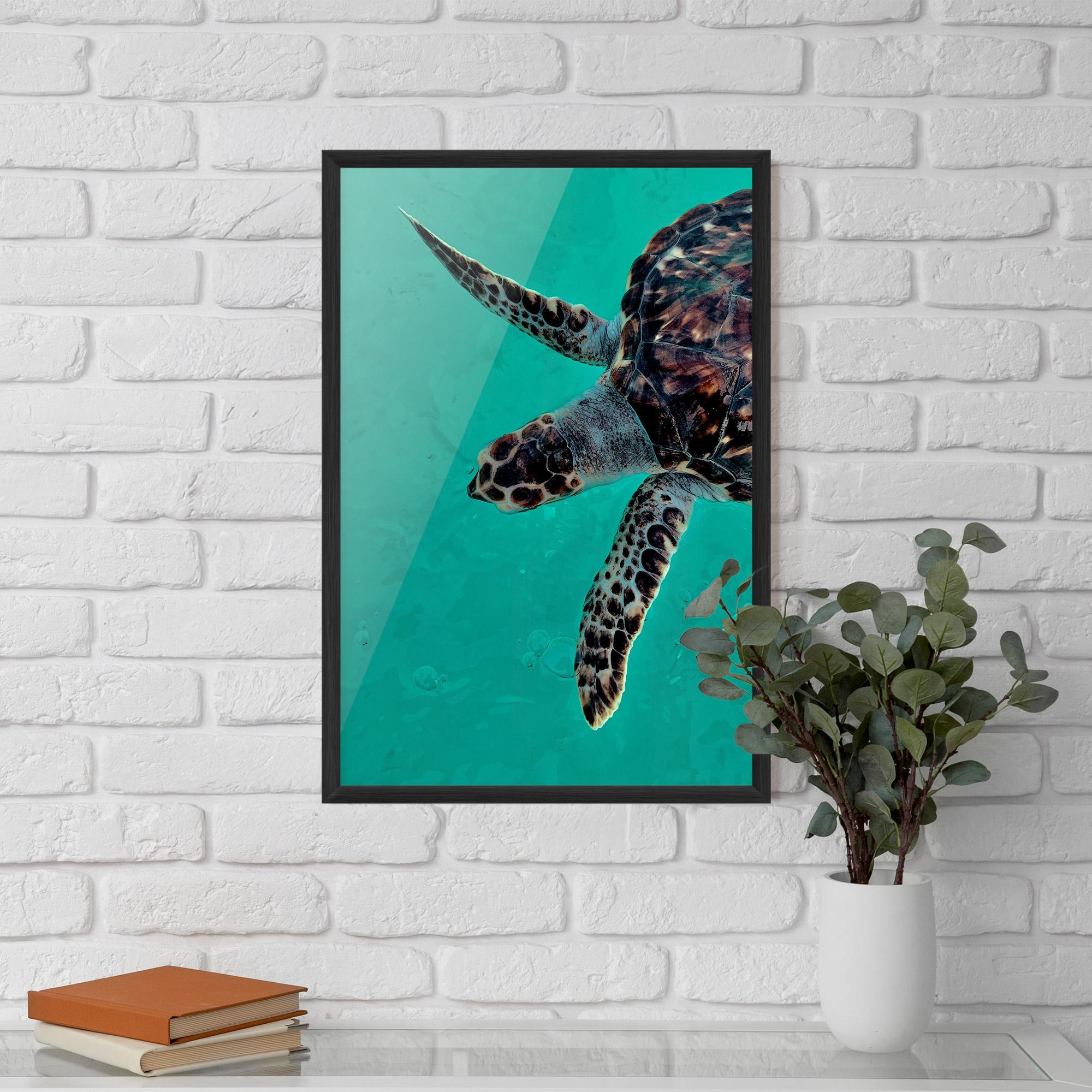 Plakat w Ramie Turtle Sweeming mockup 5