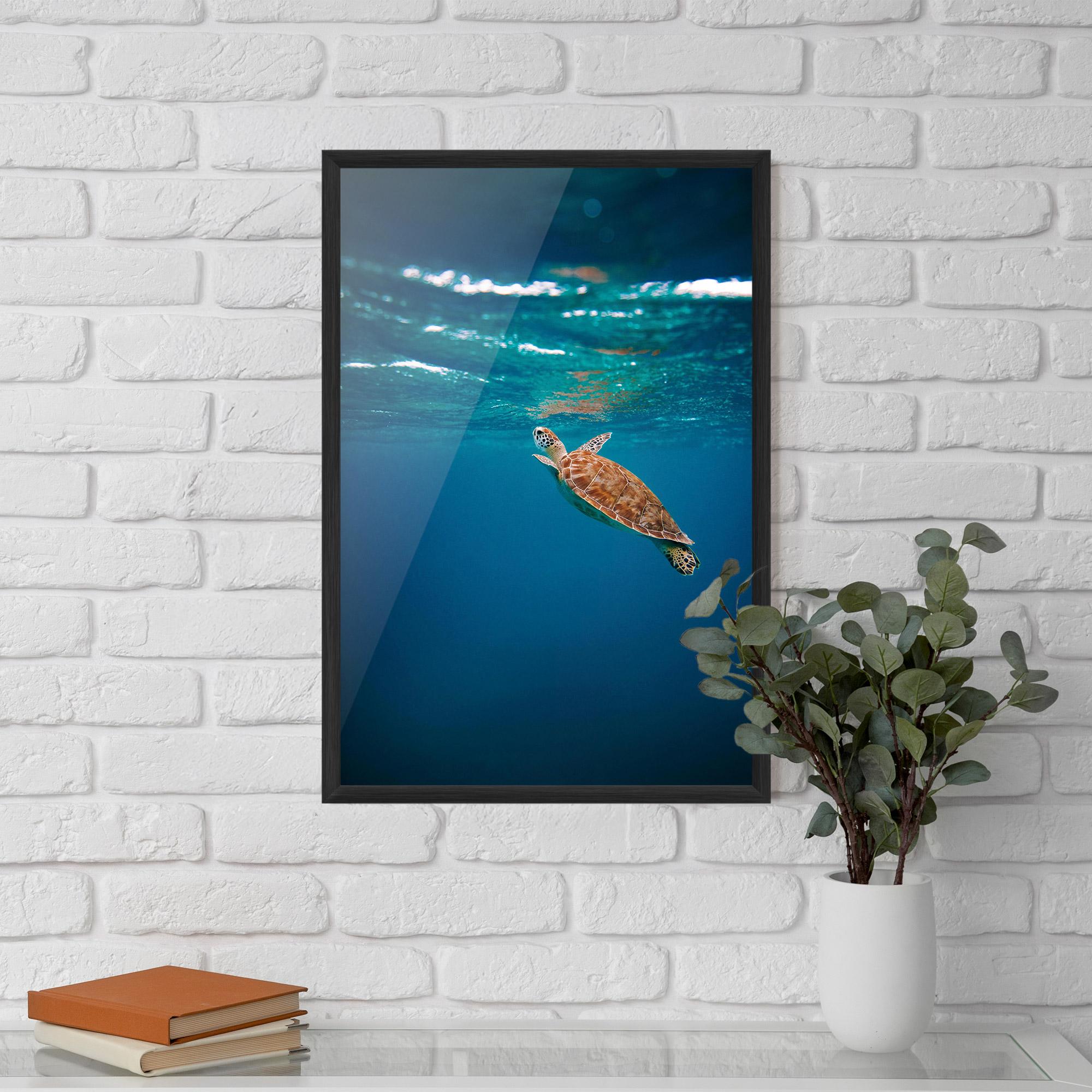 Plakat w Ramie Water Turtle mockup 5