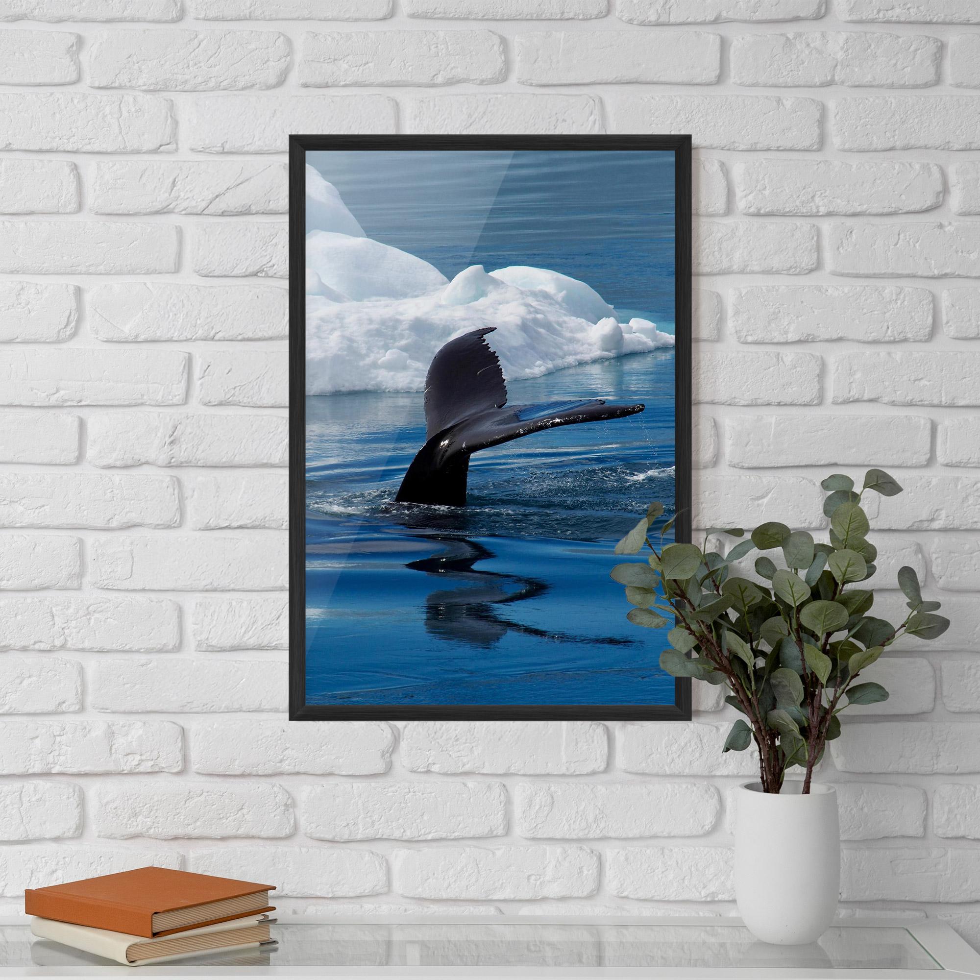 Plakat w Ramie Whale Tail mockup 5