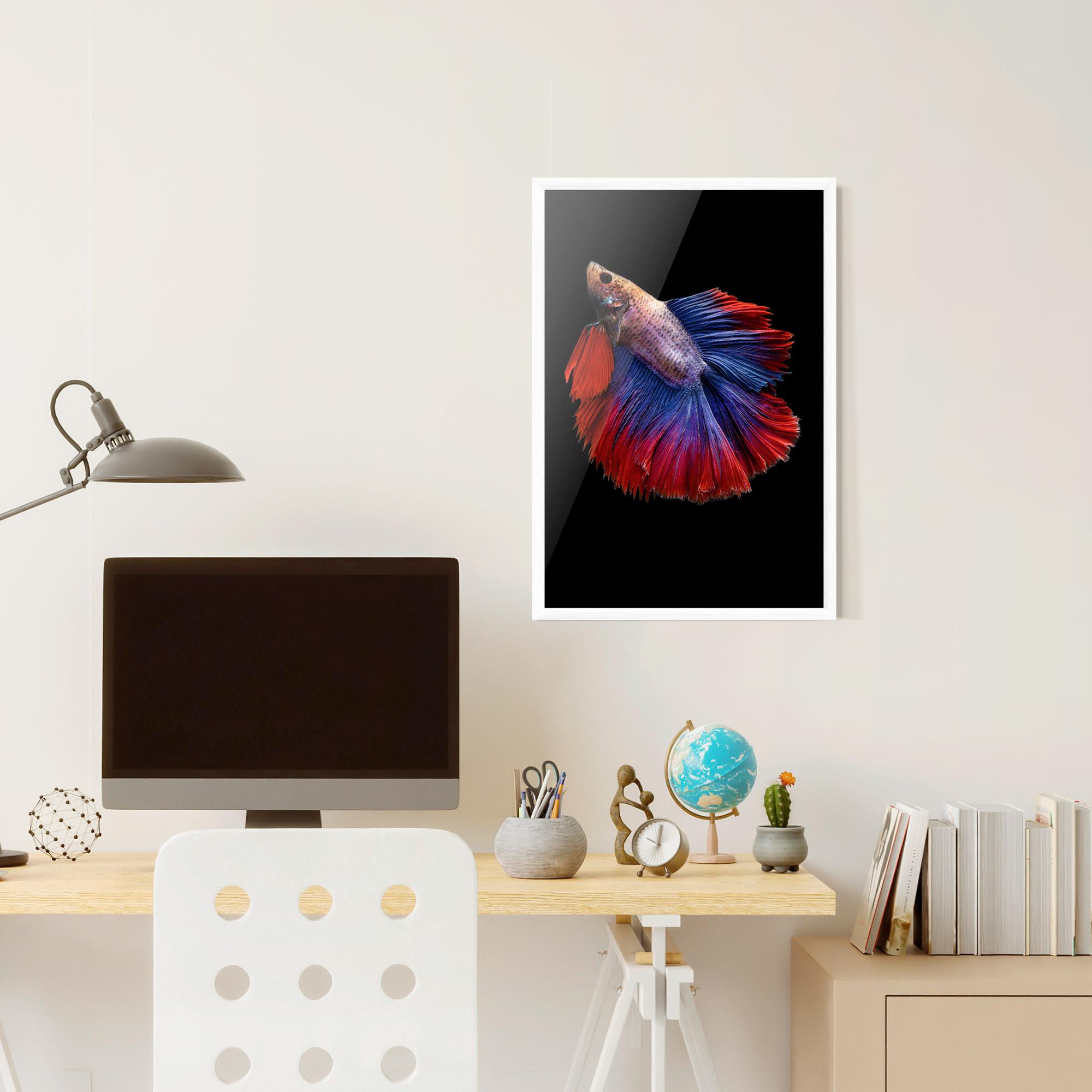 Plakat w Ramie Red Blue Betta mockup 6