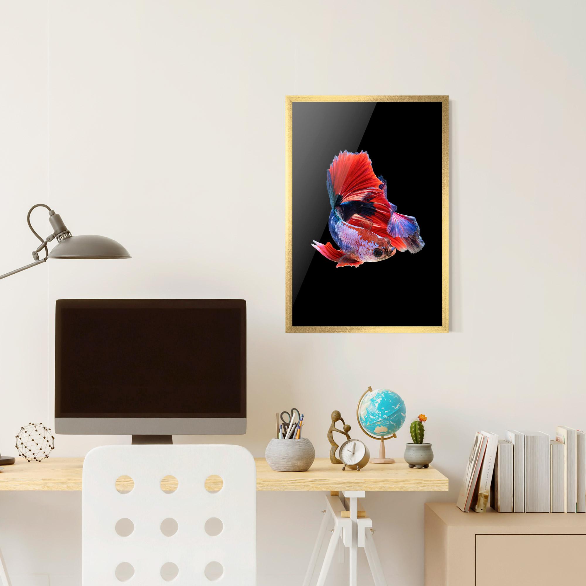 Plakat w Ramie Red Black Betta mockup 6
