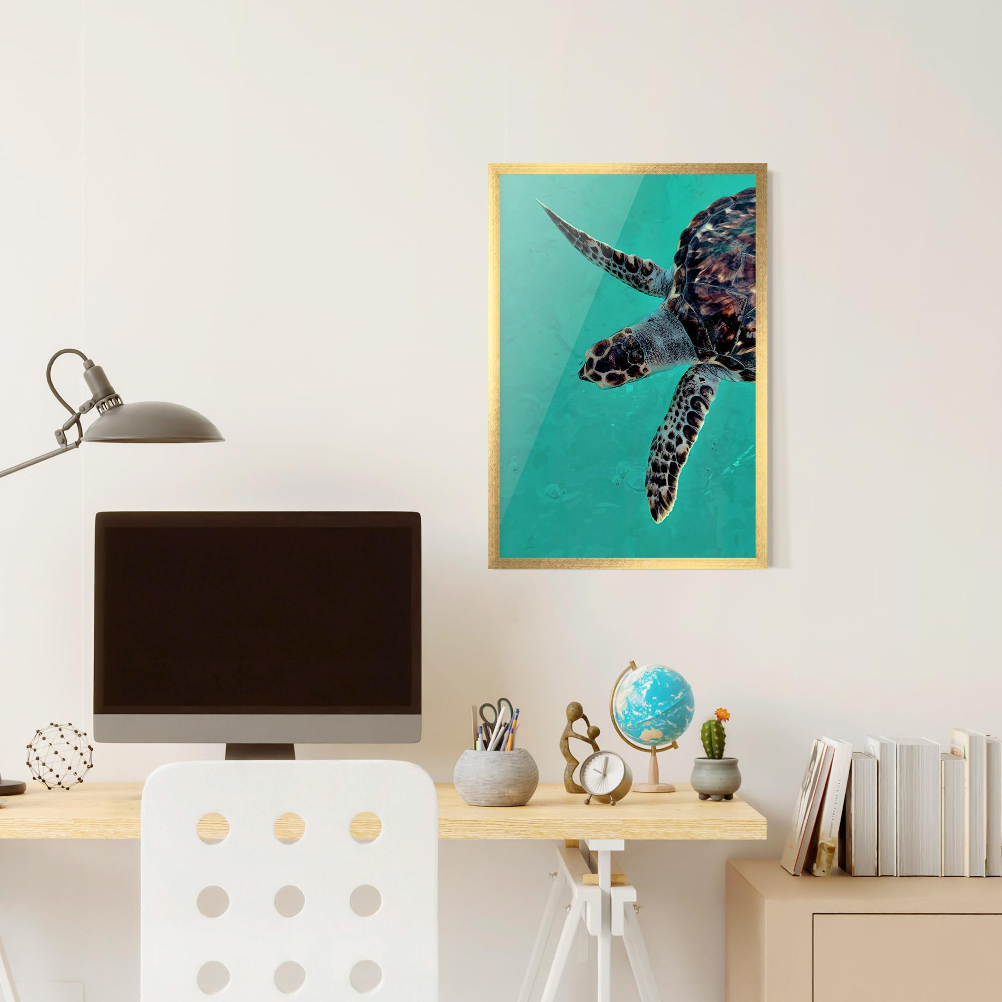 Plakat w Ramie Turtle Sweeming mockup 6