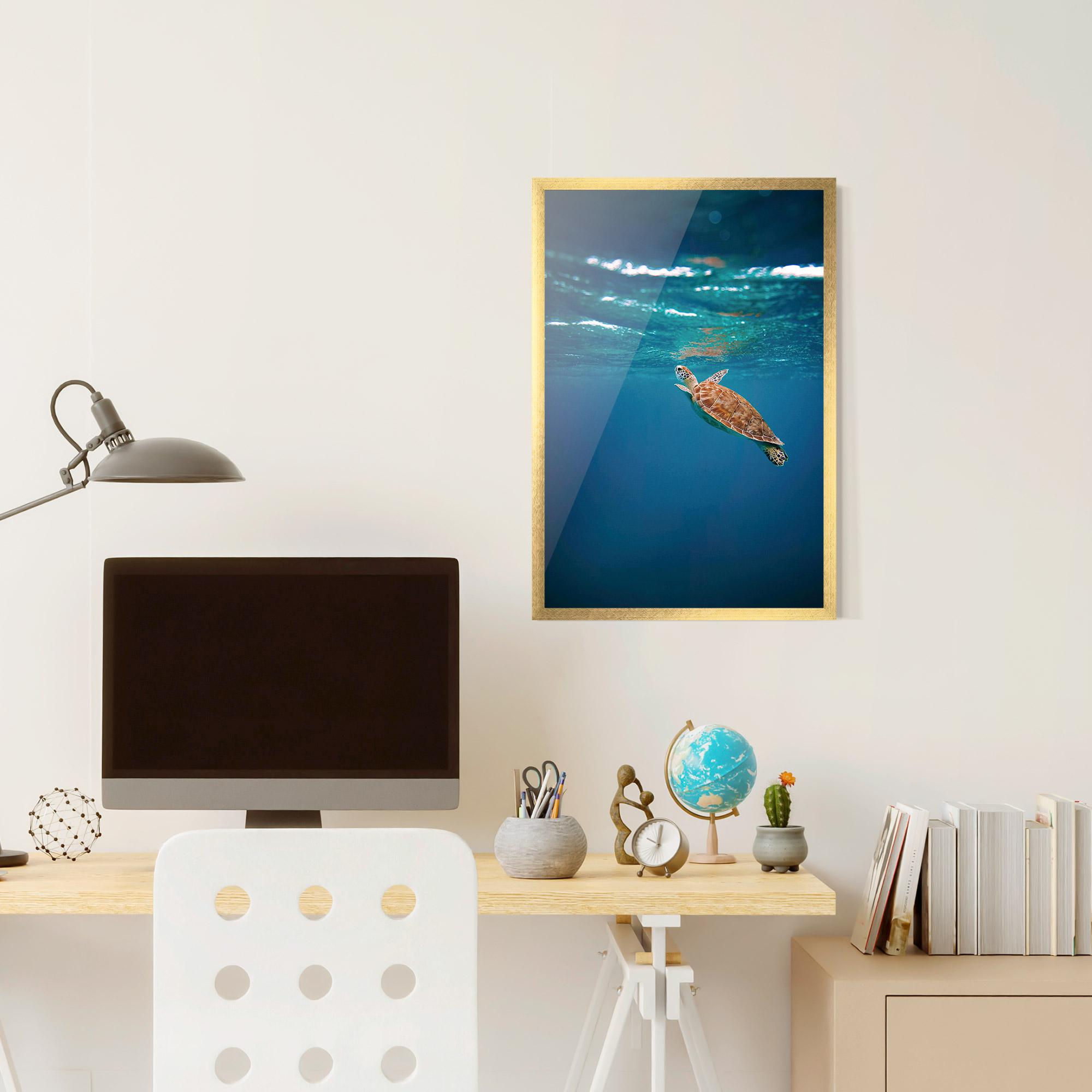 Plakat w Ramie Water Turtle mockup 6
