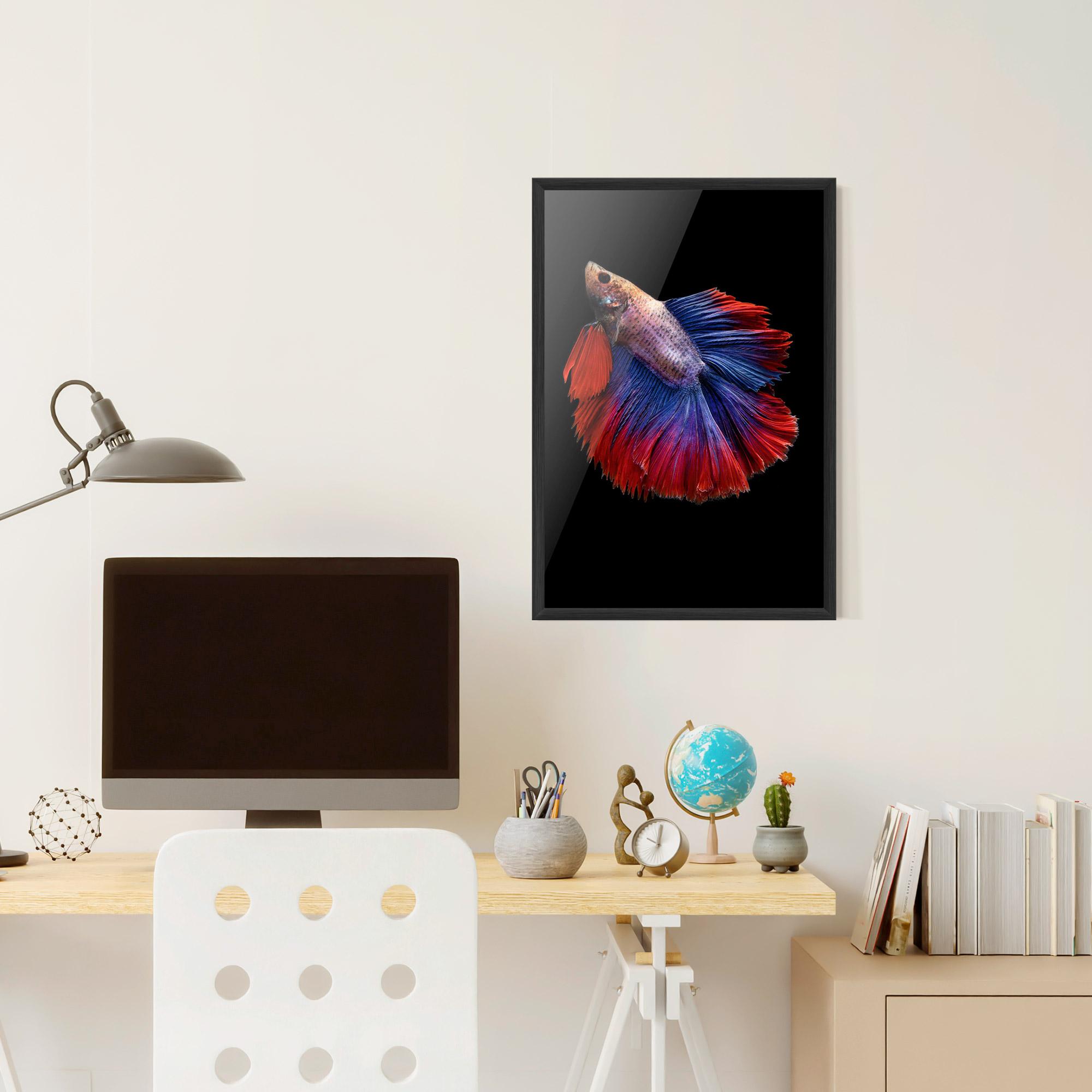 Plakat w Ramie Red Blue Betta mockup 6