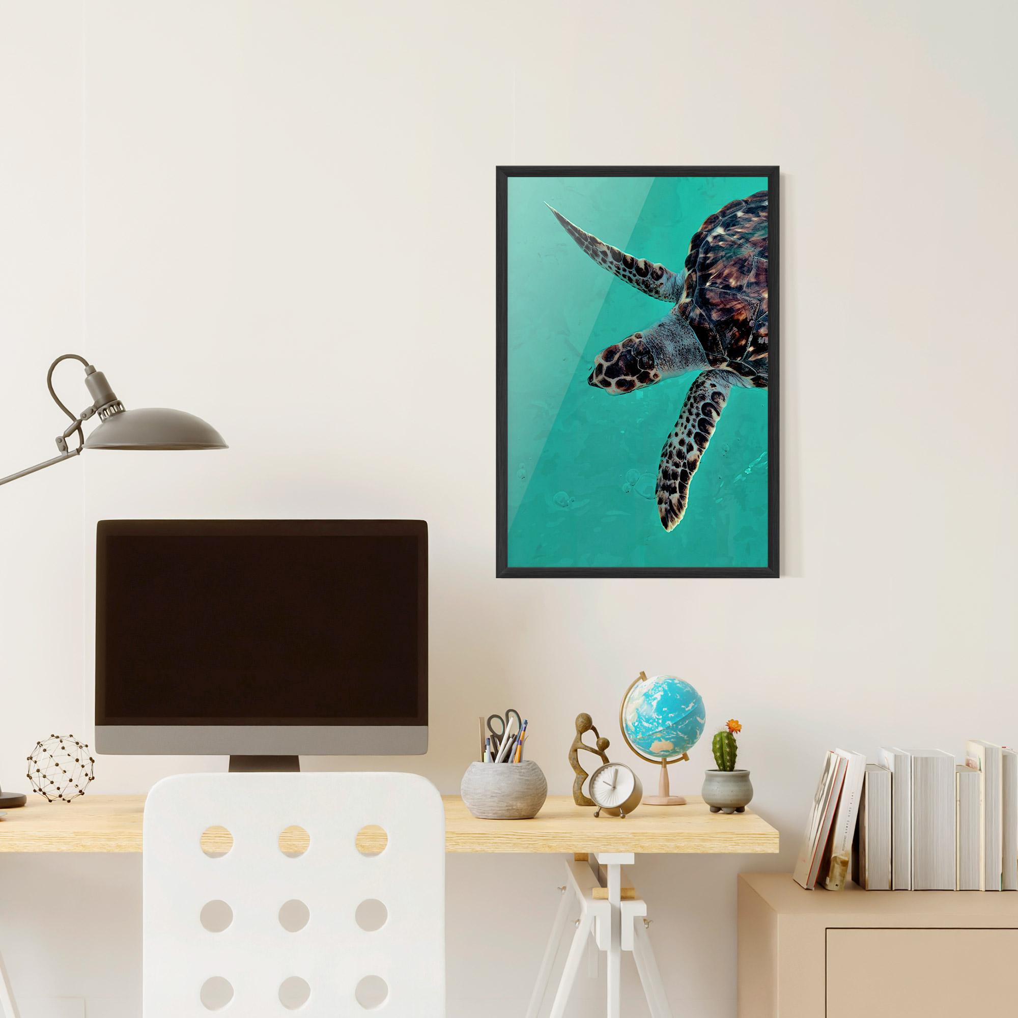 Plakat w Ramie Turtle Sweeming mockup 6