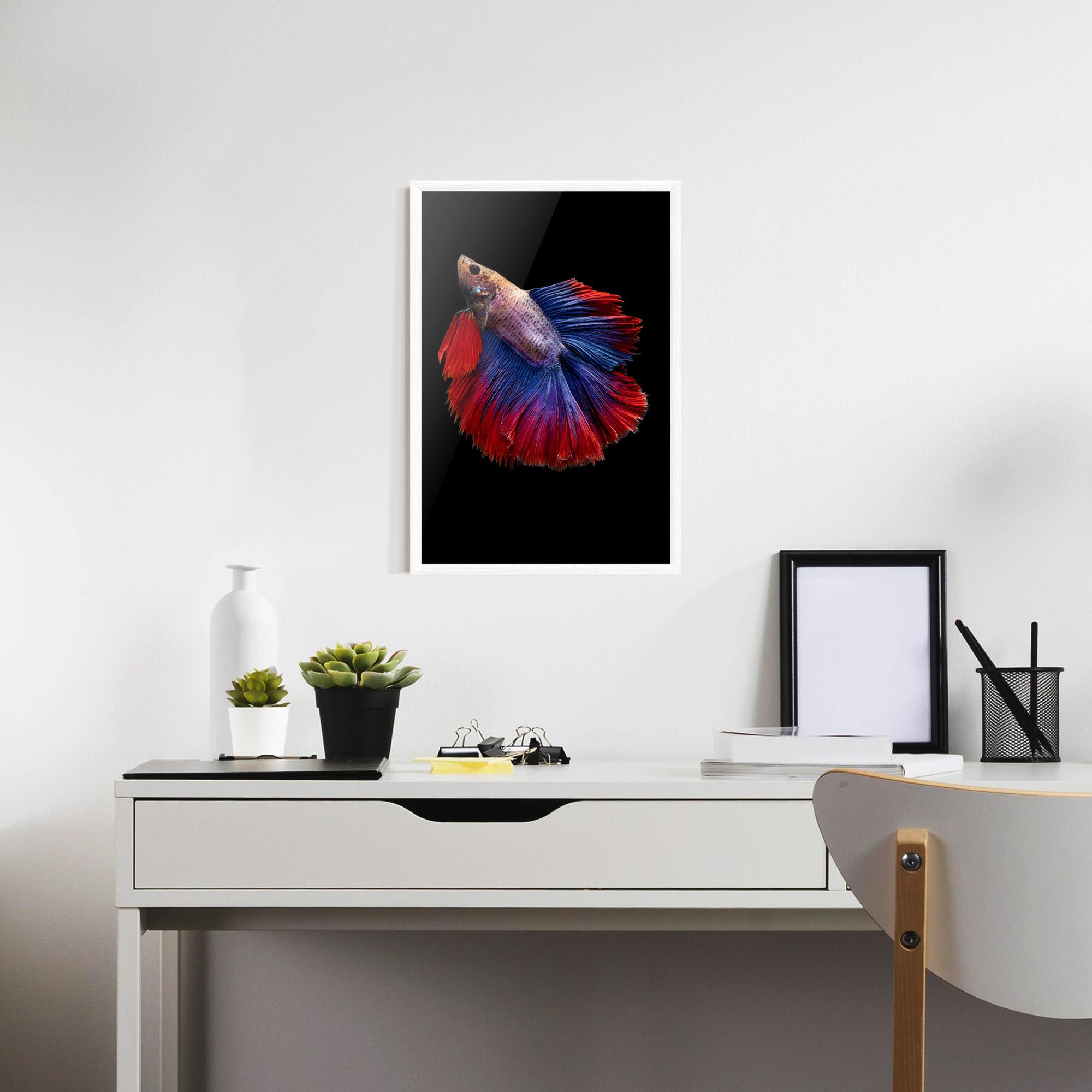 Plakat w Ramie Red Blue Betta mockup 7