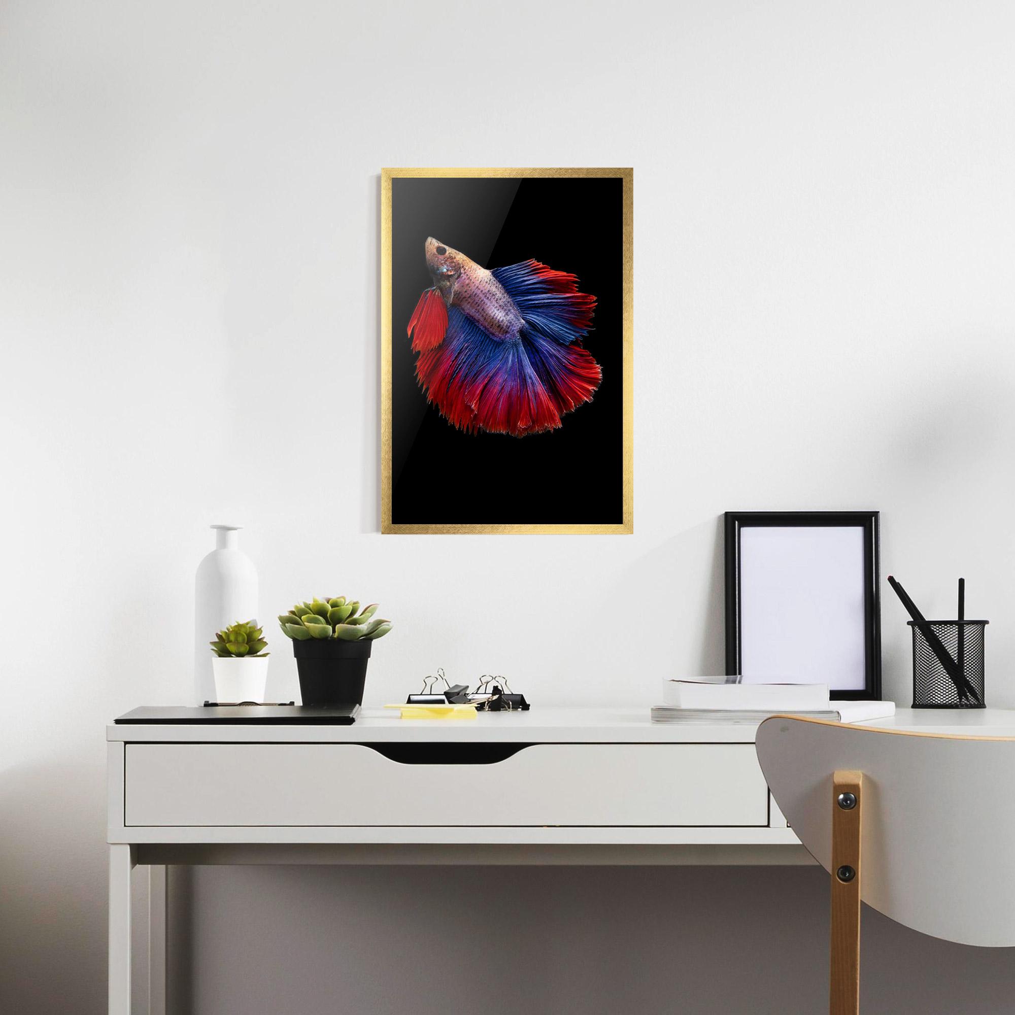 Plakat w Ramie Red Blue Betta mockup 7