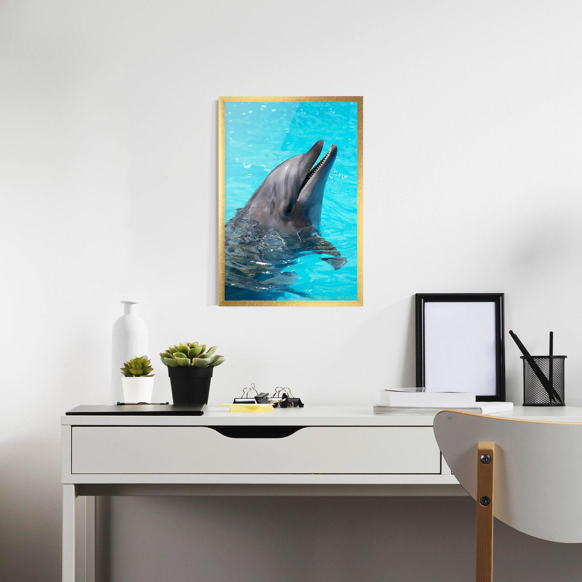 Plakat w Ramie Trained Dolphin mockup 7