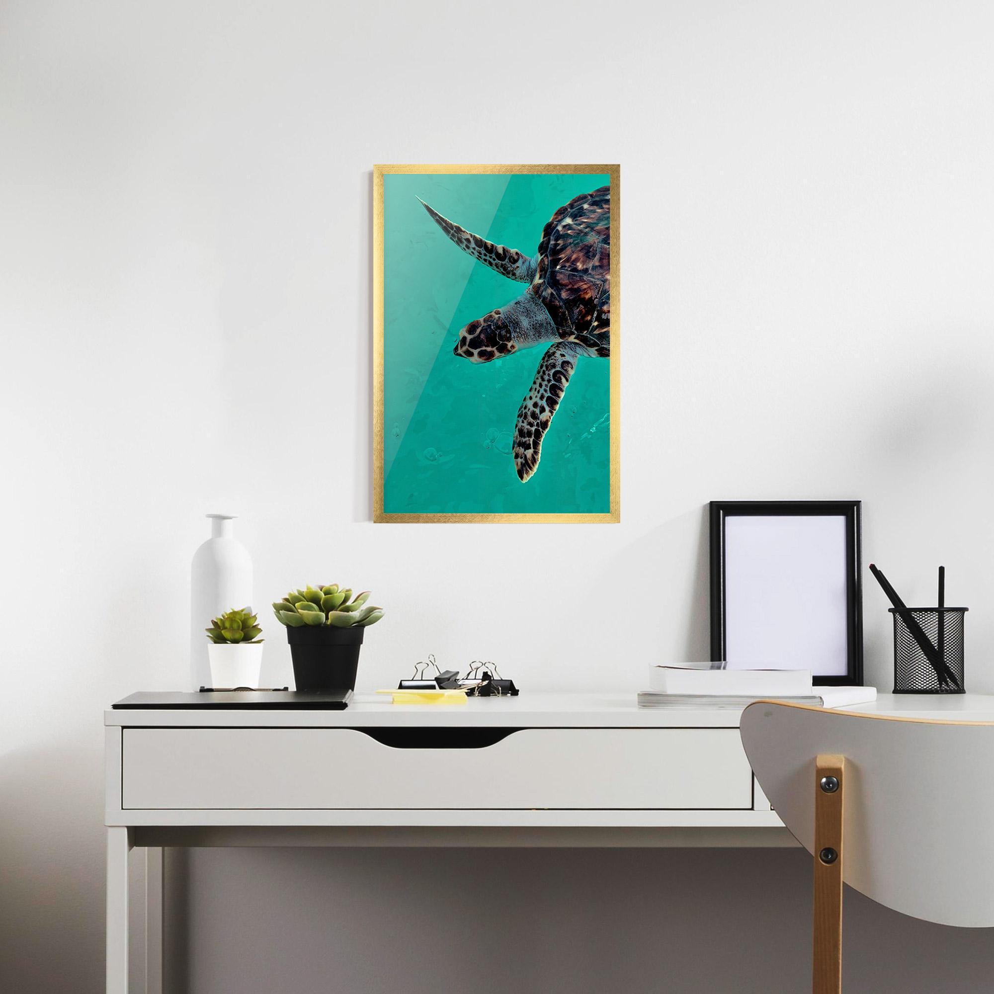 Plakat w Ramie Turtle Sweeming mockup 7