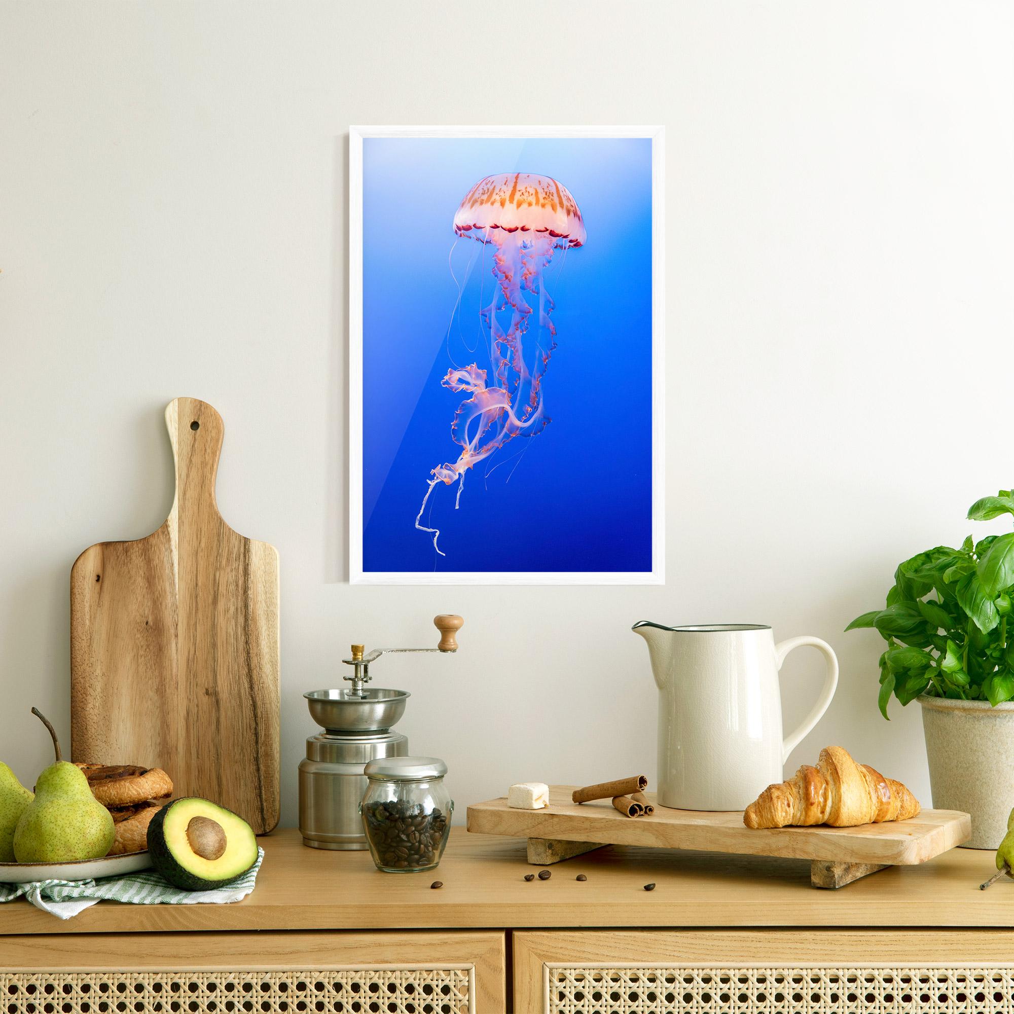 Plakat w Ramie Pretty White Jellyfish mockup 8