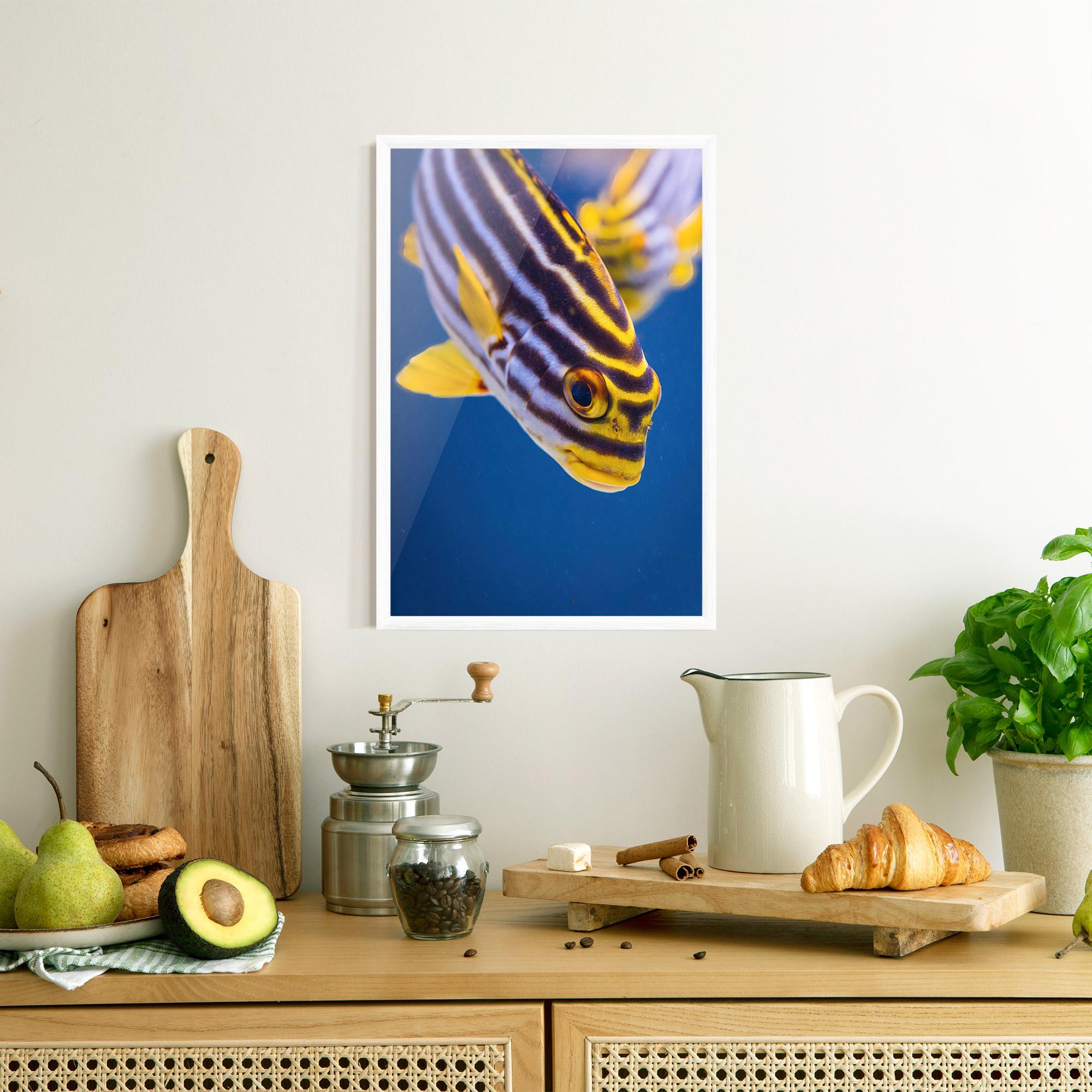 Plakat w Ramie Purple Yellow Fish mockup 8