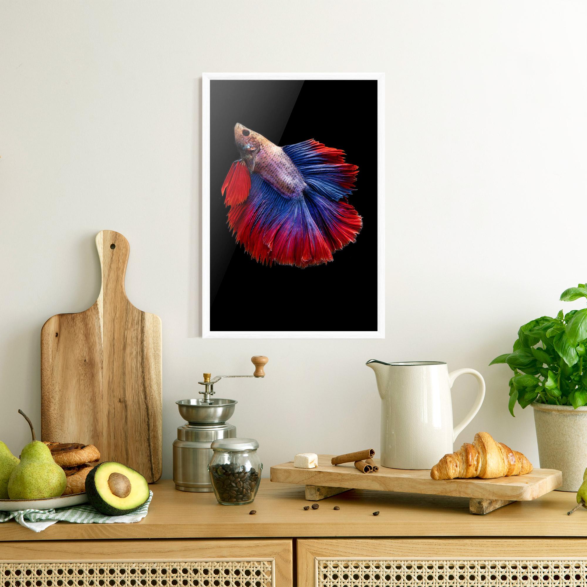 Plakat w Ramie Red Blue Betta mockup 8