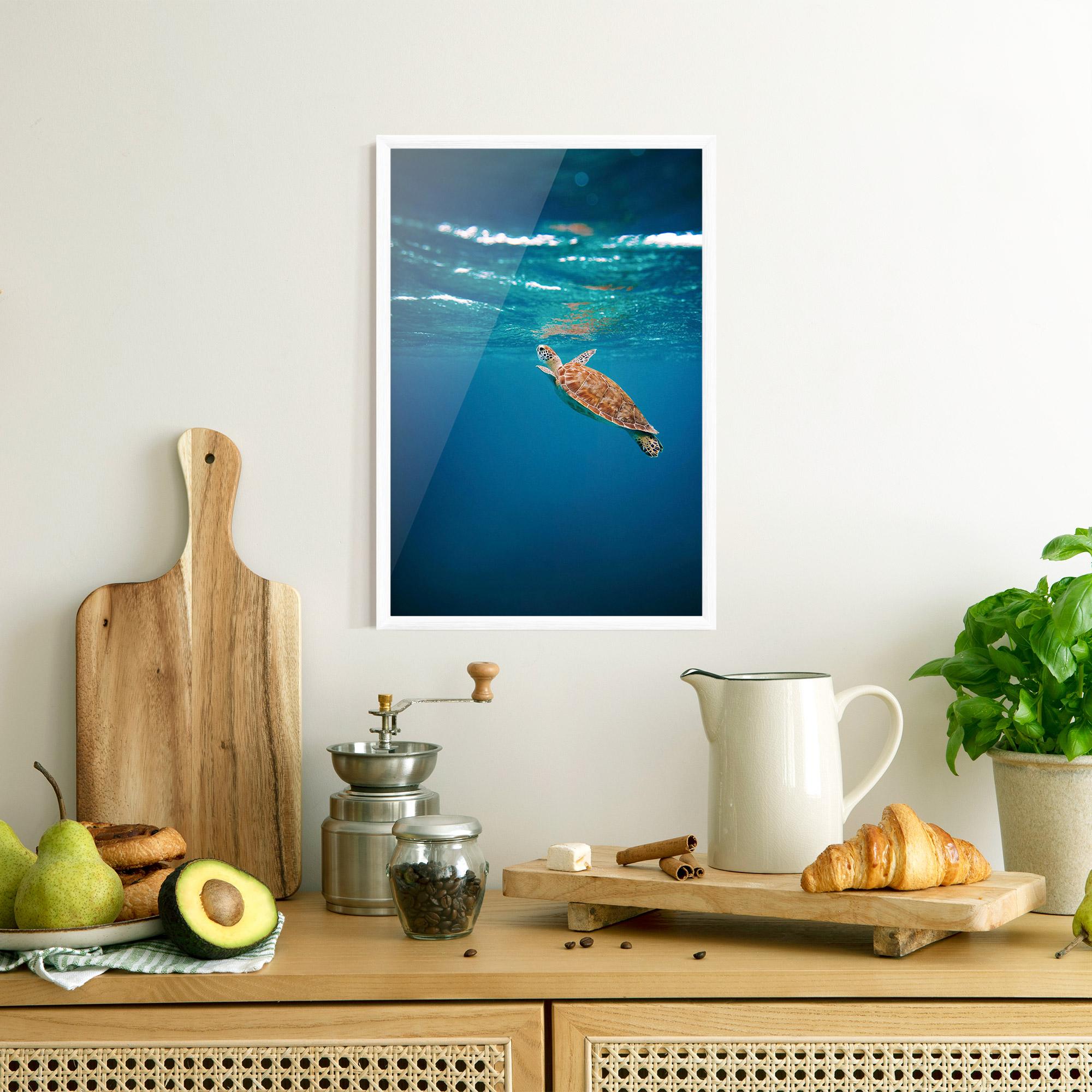 Plakat w Ramie Water Turtle mockup 8