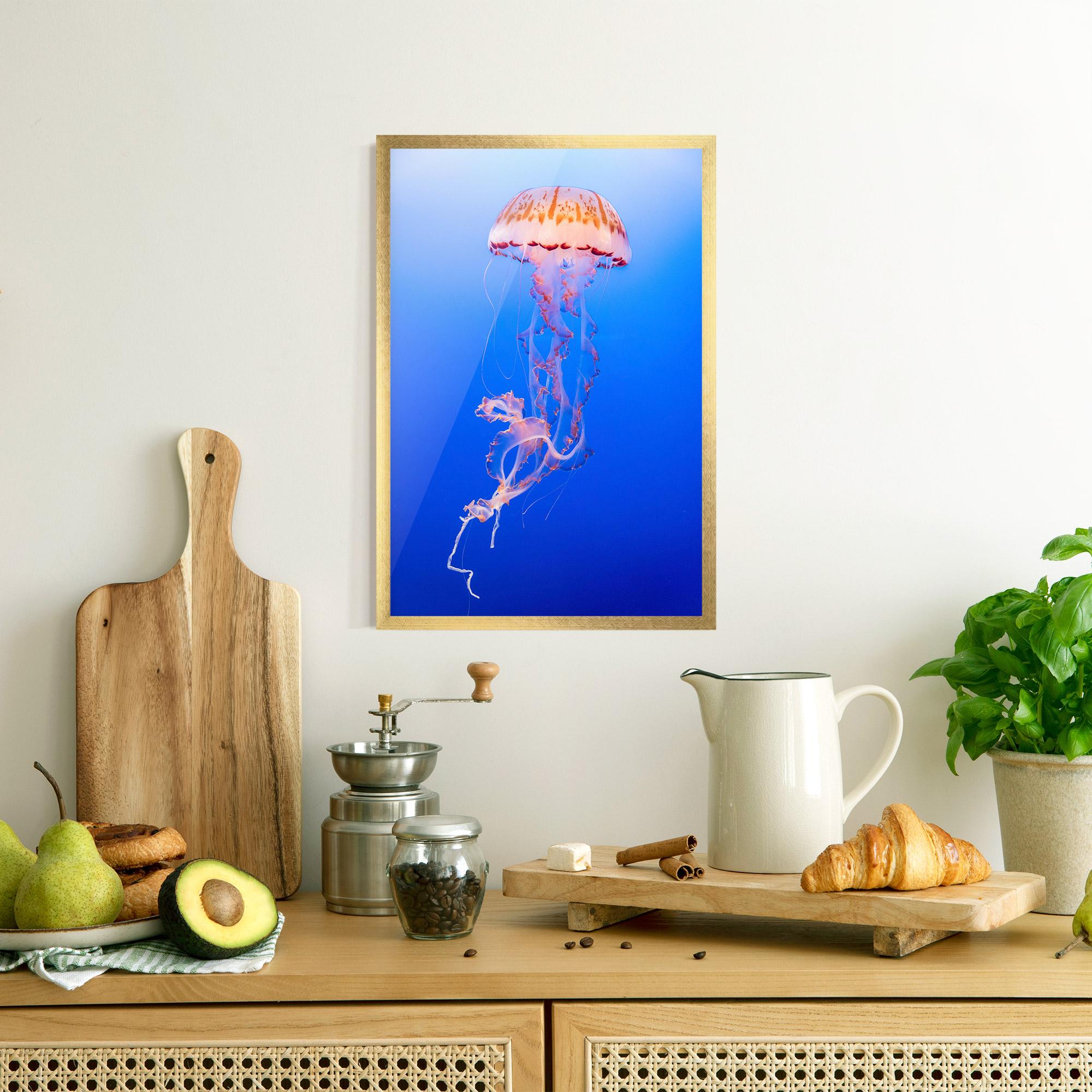 Plakat w Ramie Pretty White Jellyfish mockup 8