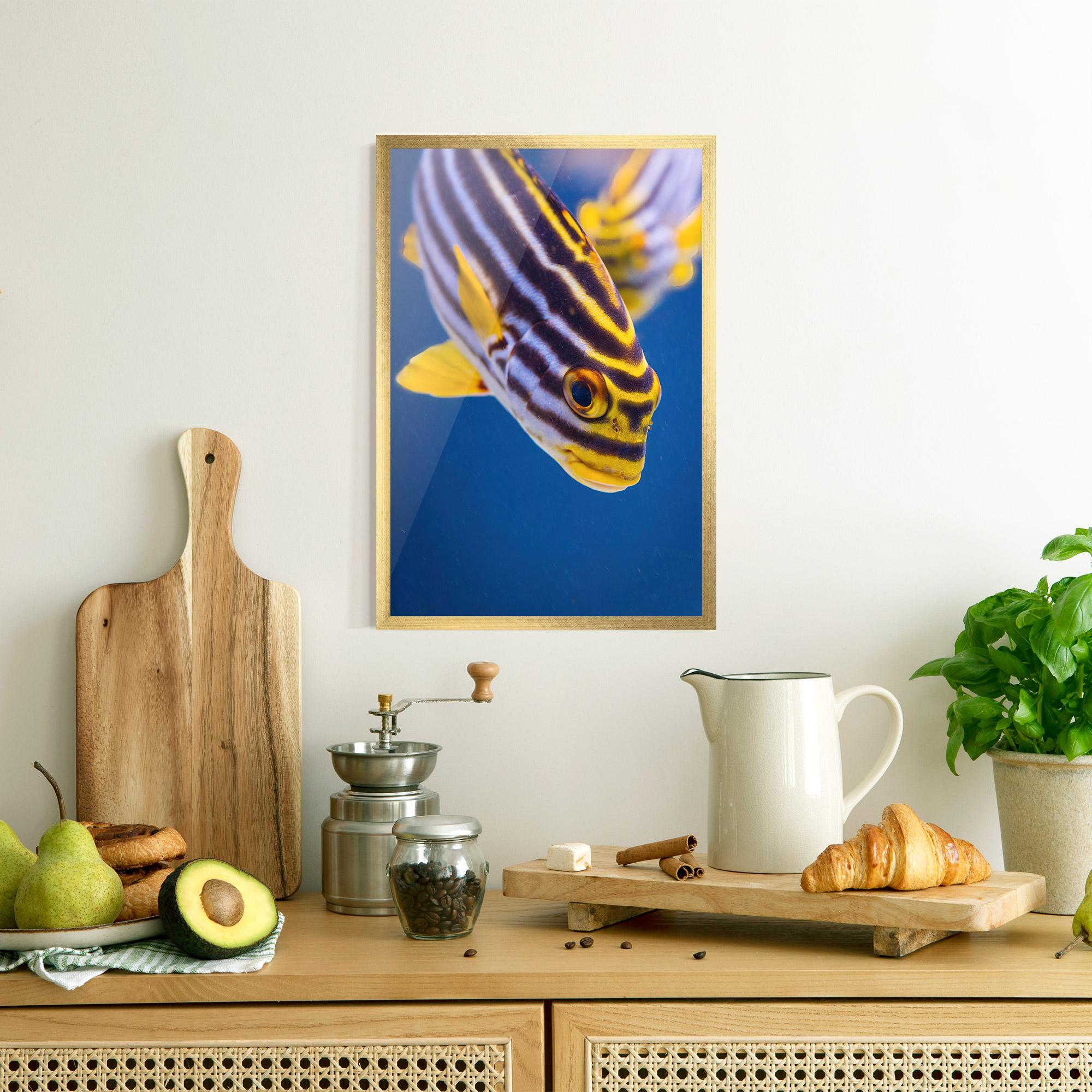 Plakat w Ramie Purple Yellow Fish mockup 8