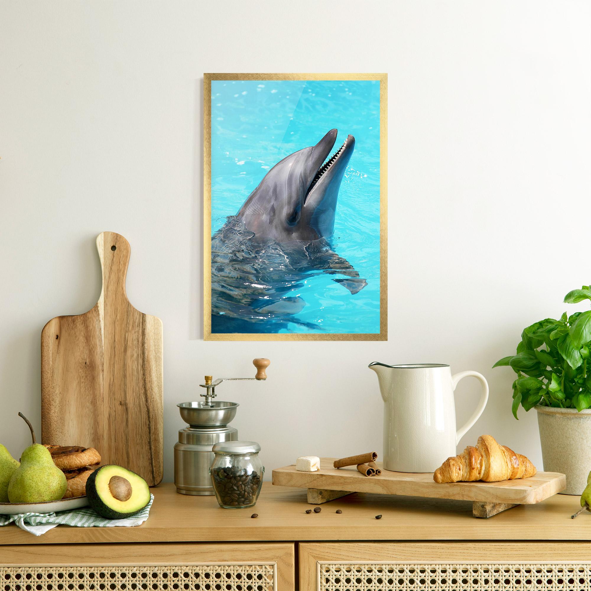 Plakat w Ramie Trained Dolphin mockup 8