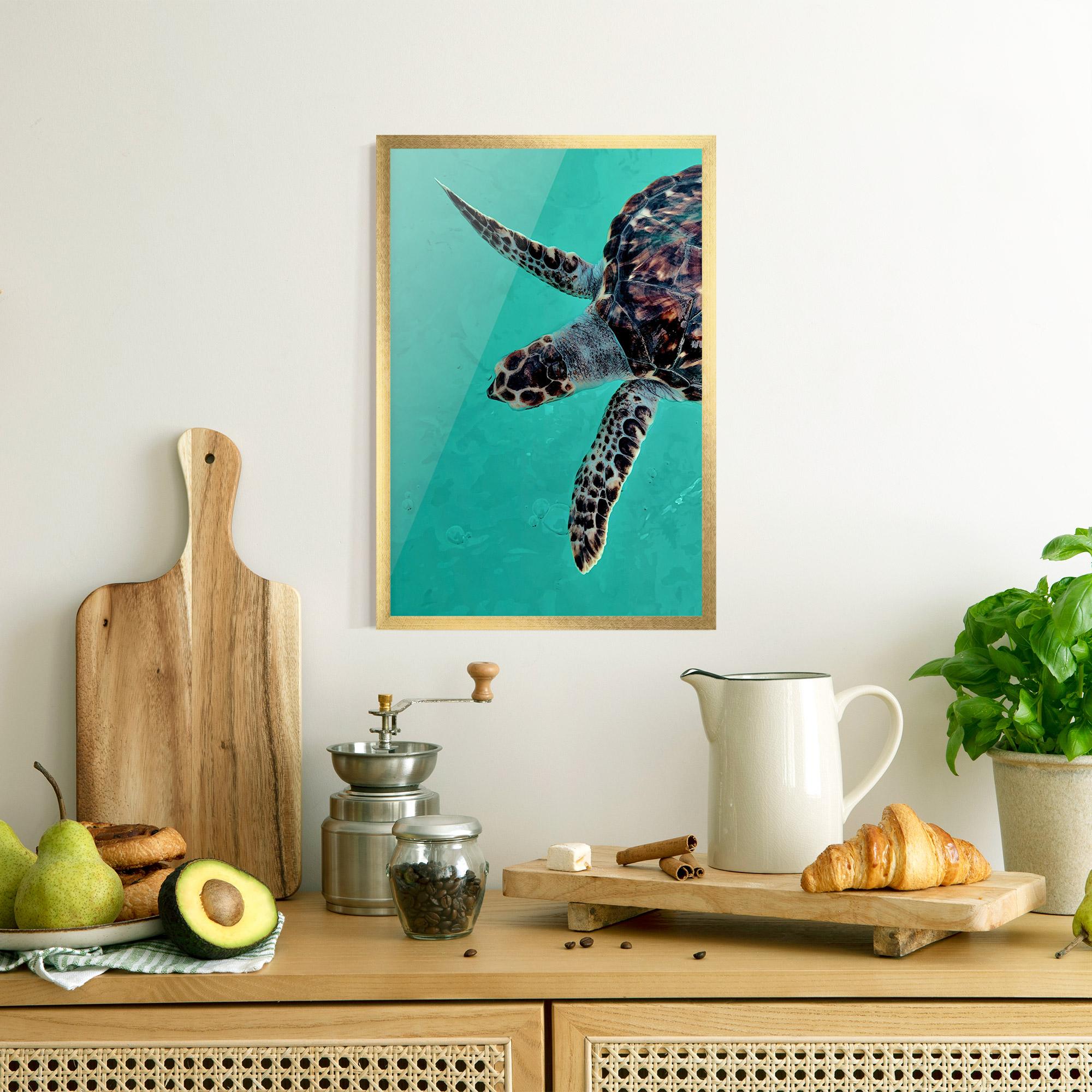 Plakat w Ramie Turtle Sweeming mockup 8