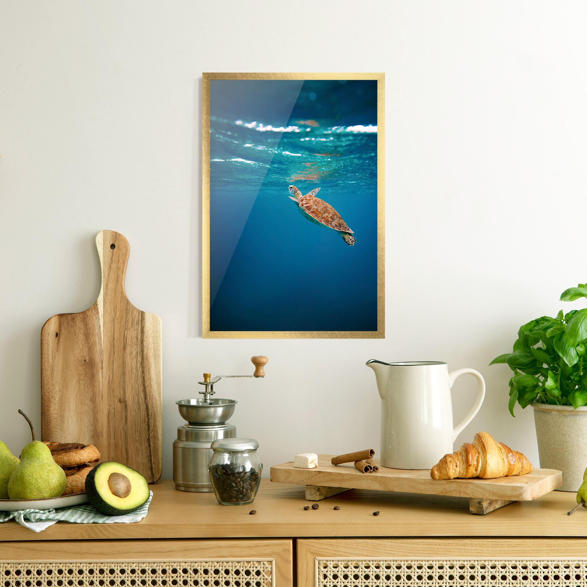 Plakat w Ramie Water Turtle mockup 8