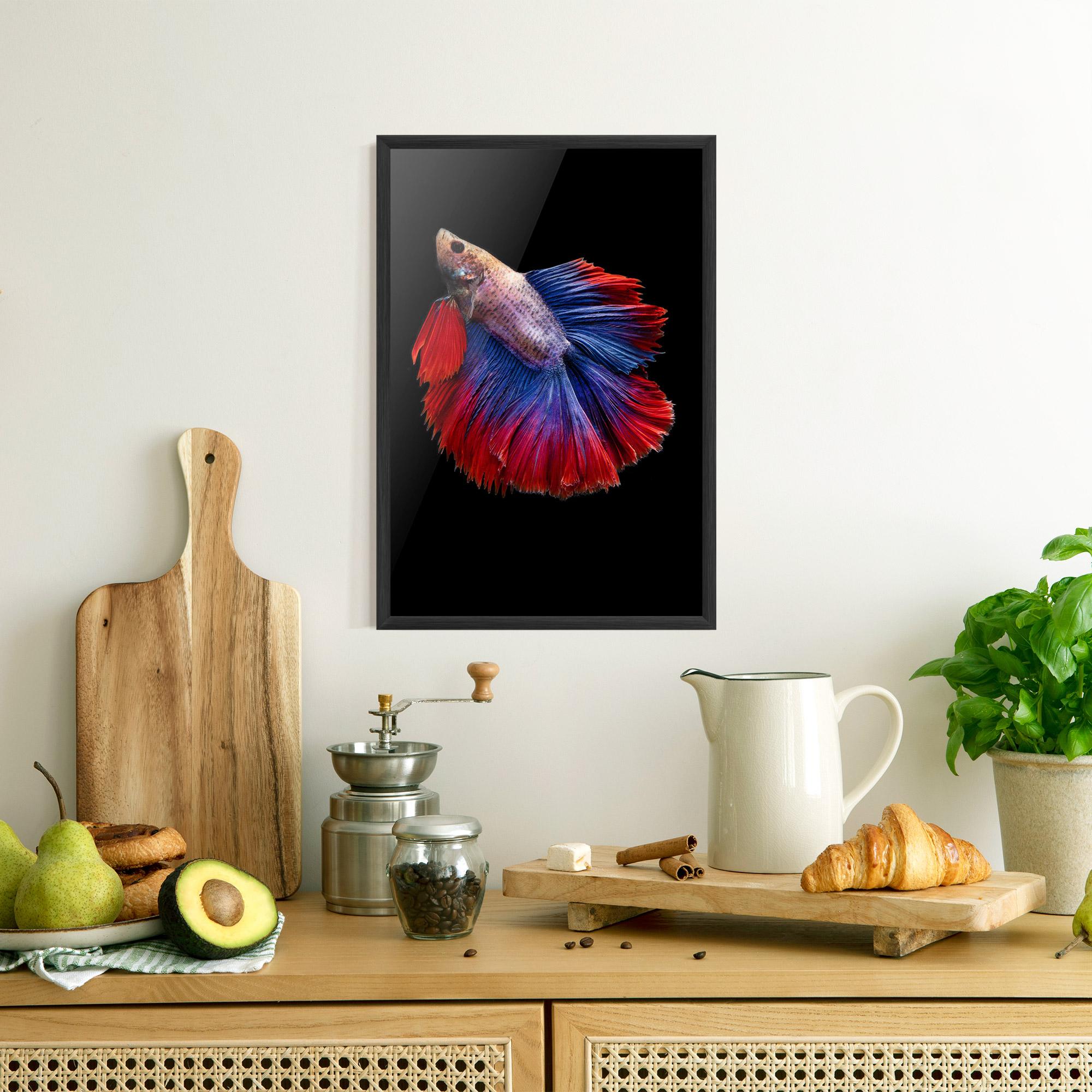 Plakat w Ramie Red Blue Betta mockup 8