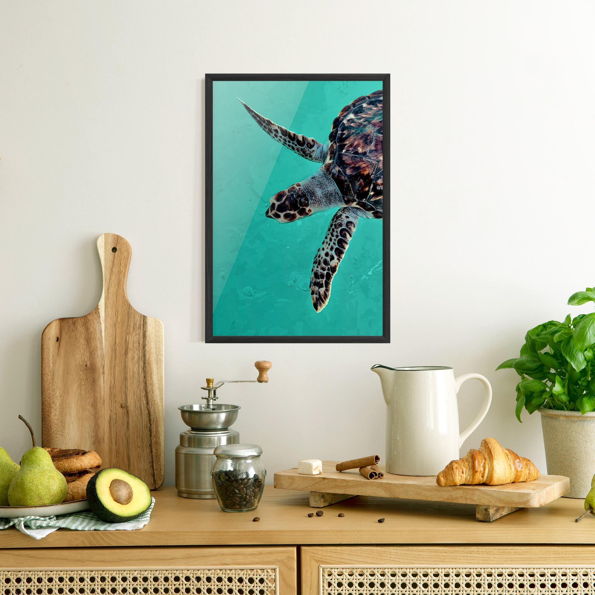 Plakat w Ramie Turtle Sweeming mockup 8