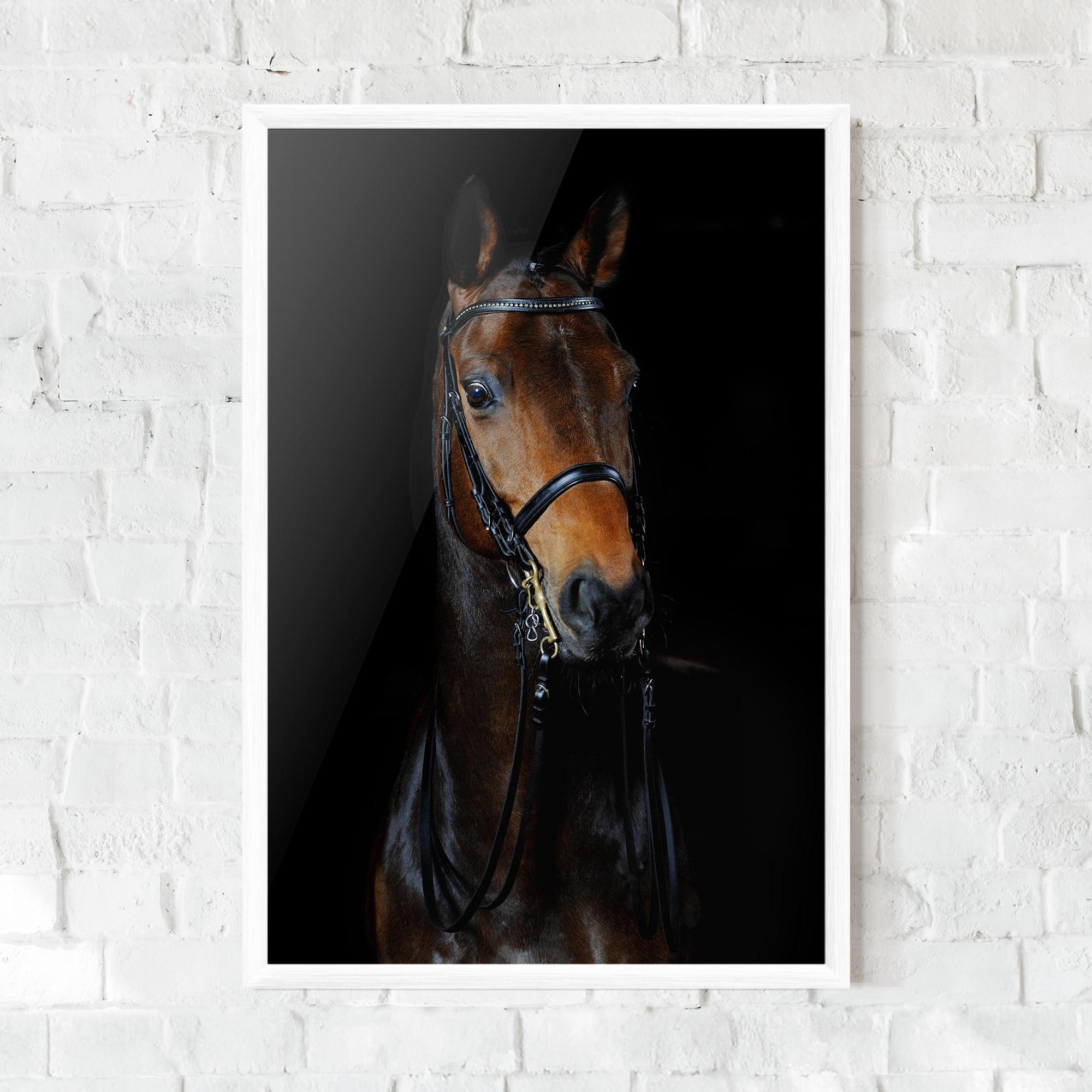Plakat w Ramie Brown Horse On Black mockup 0